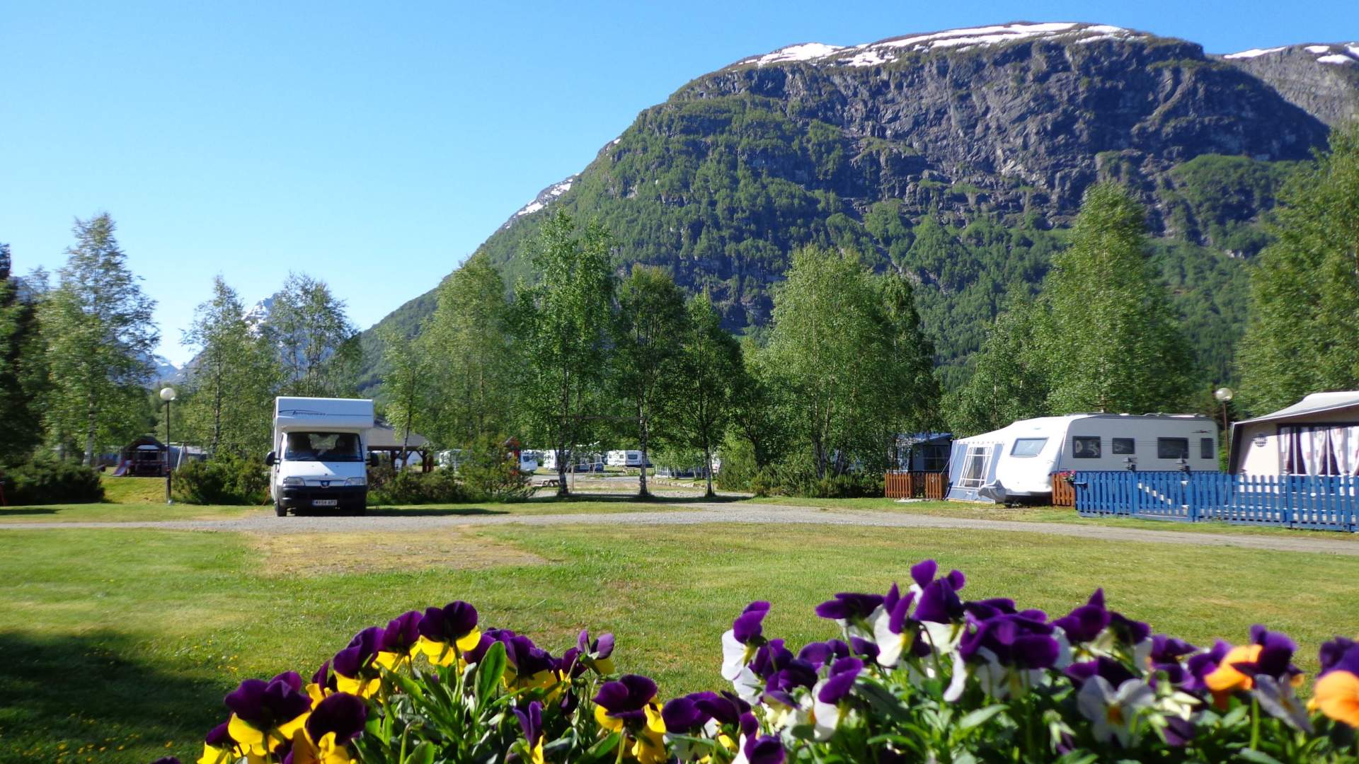 Byrkjelo Camping