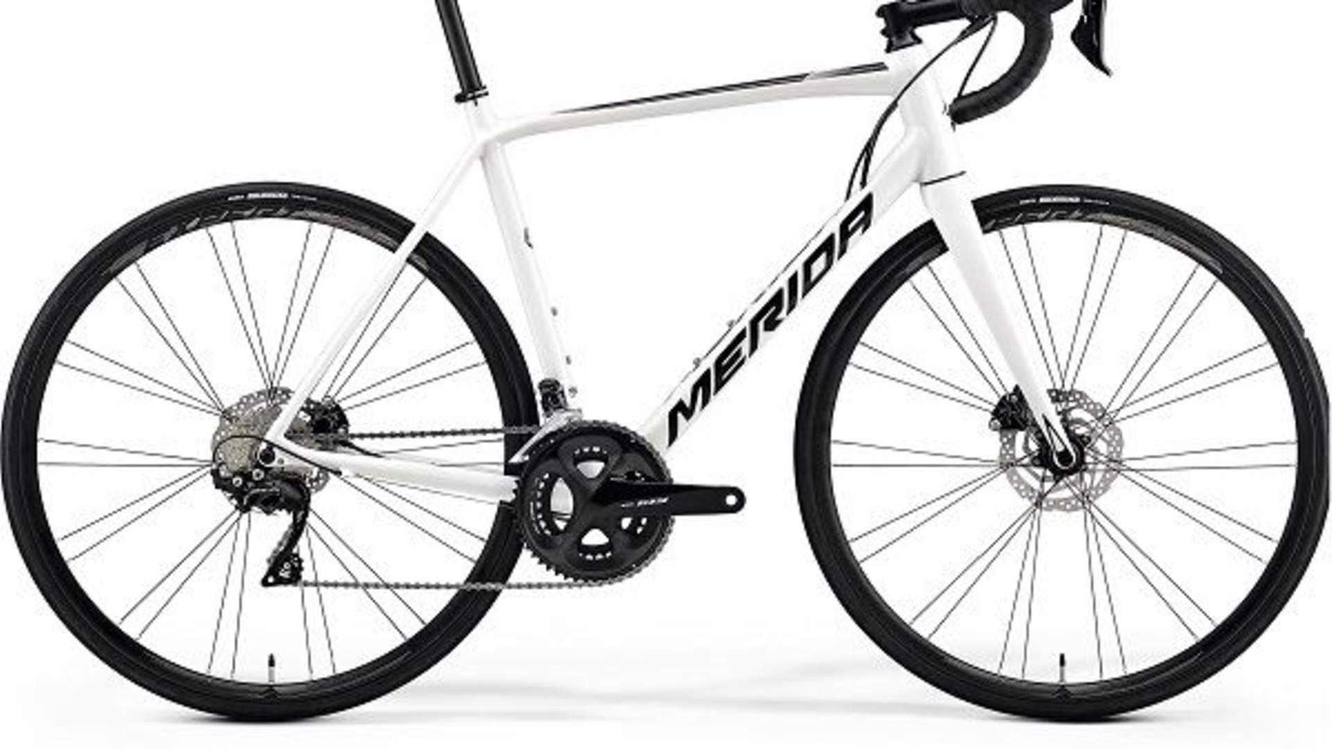 Road - Racing Bike with disc brakes Rental