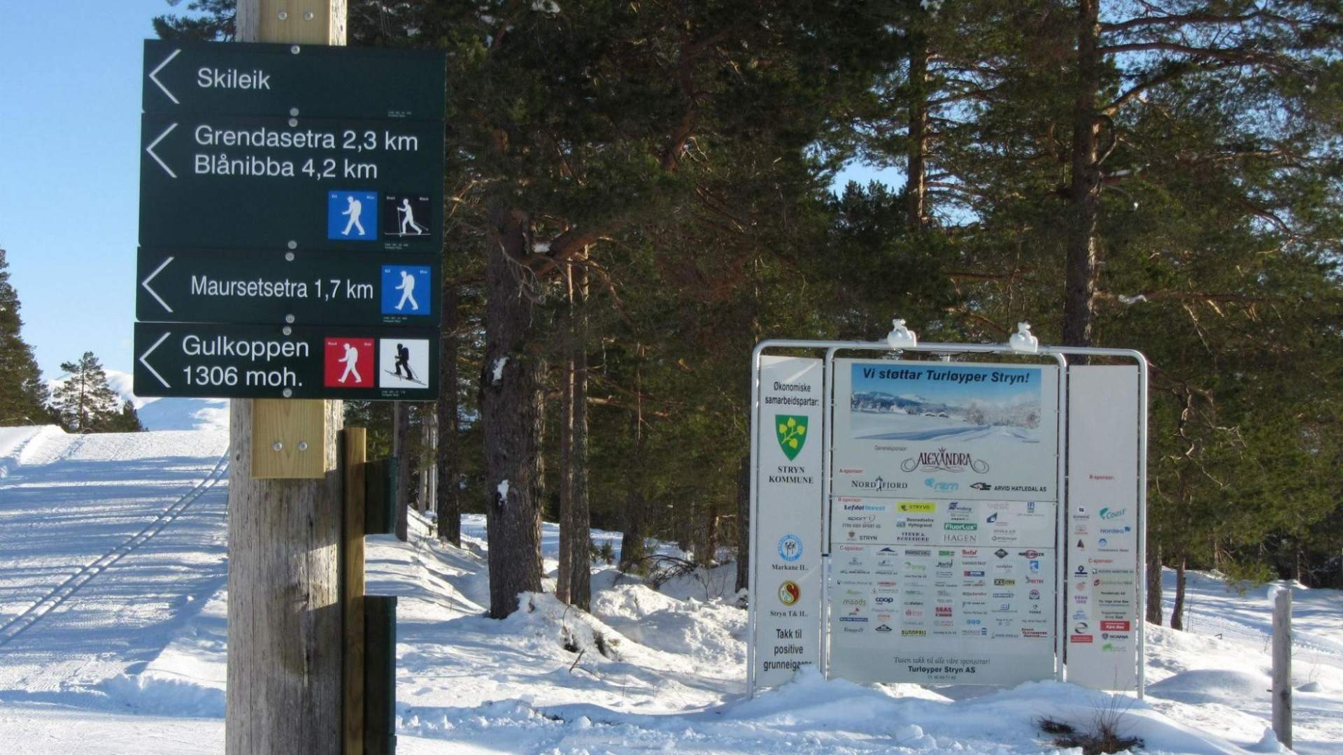 Cross-country skiing | Stryn
