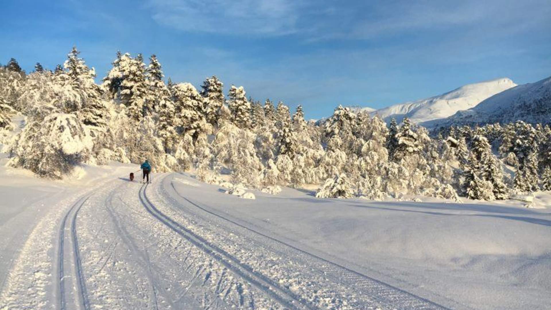 Cross country skiing | Nordfjordeid