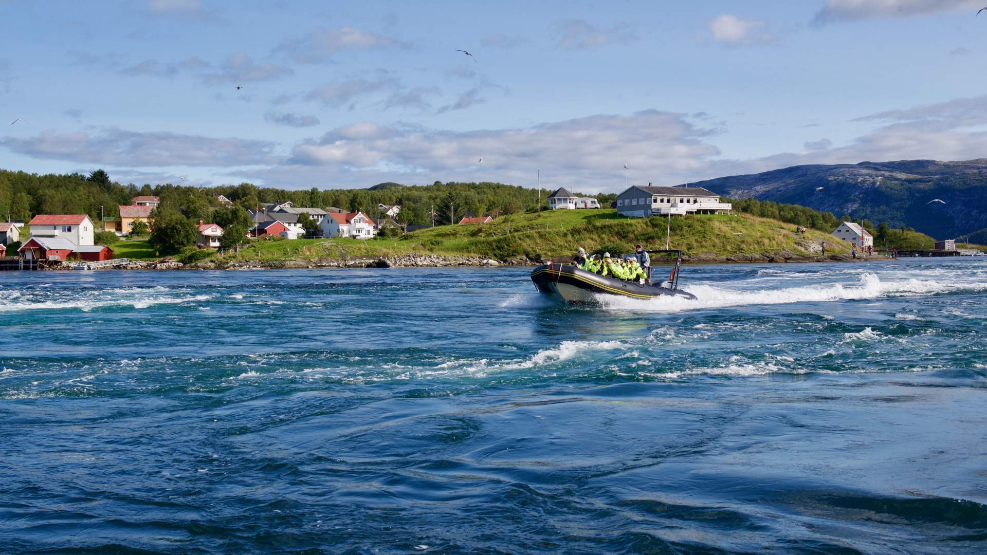 RIB-safari in Saltstraumen - Stella Polaris