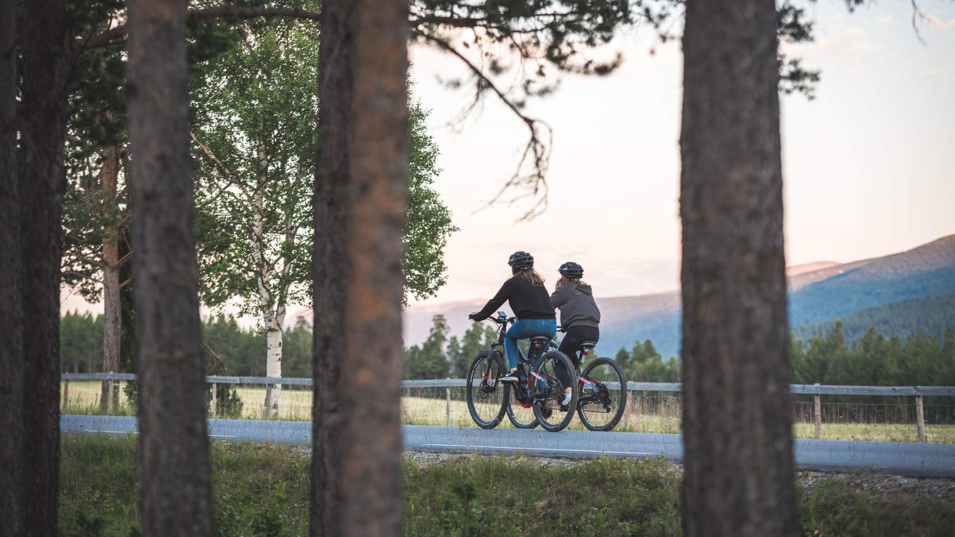 Sykkelutleie på Dombås | Dovrefjell Adventures