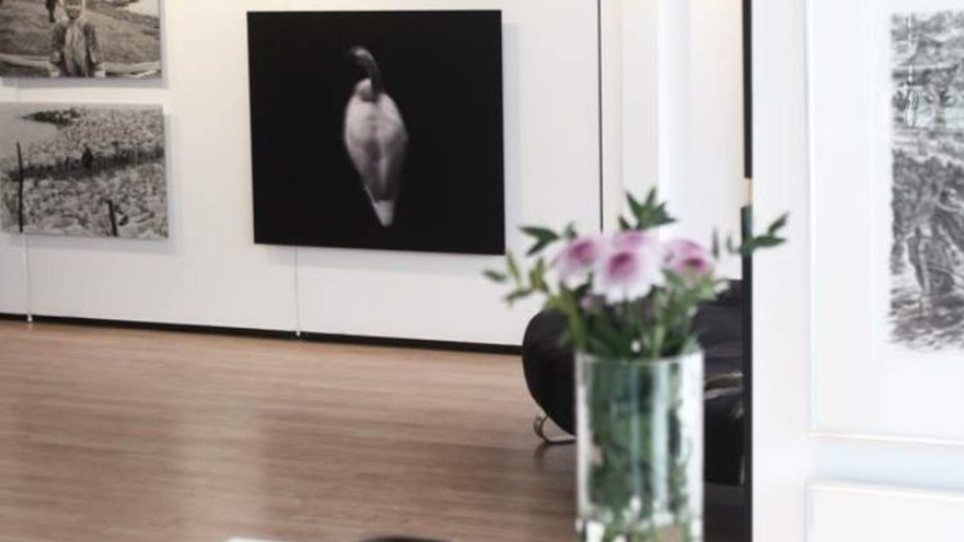 Galleri Nord