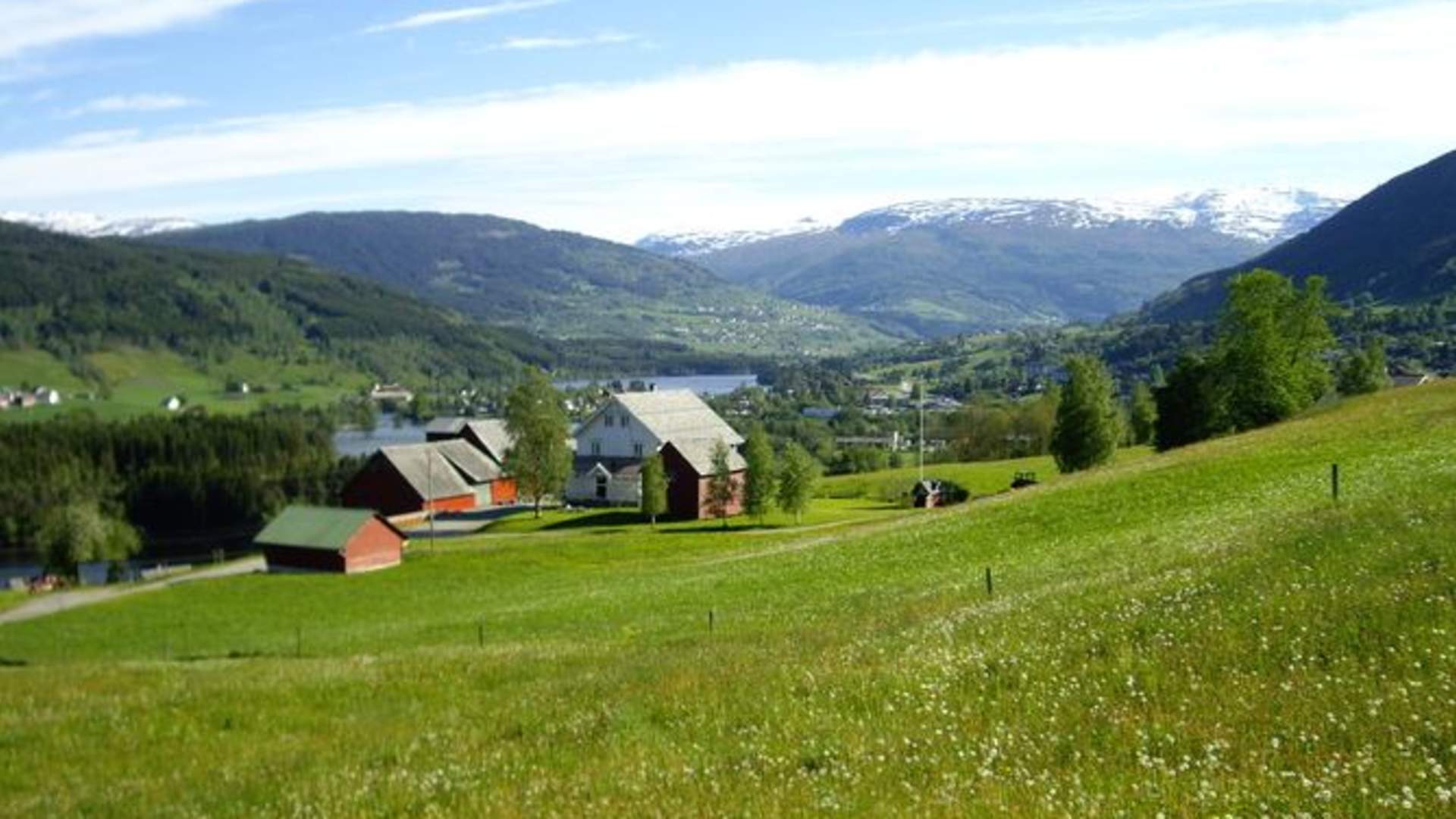 Eenstunet