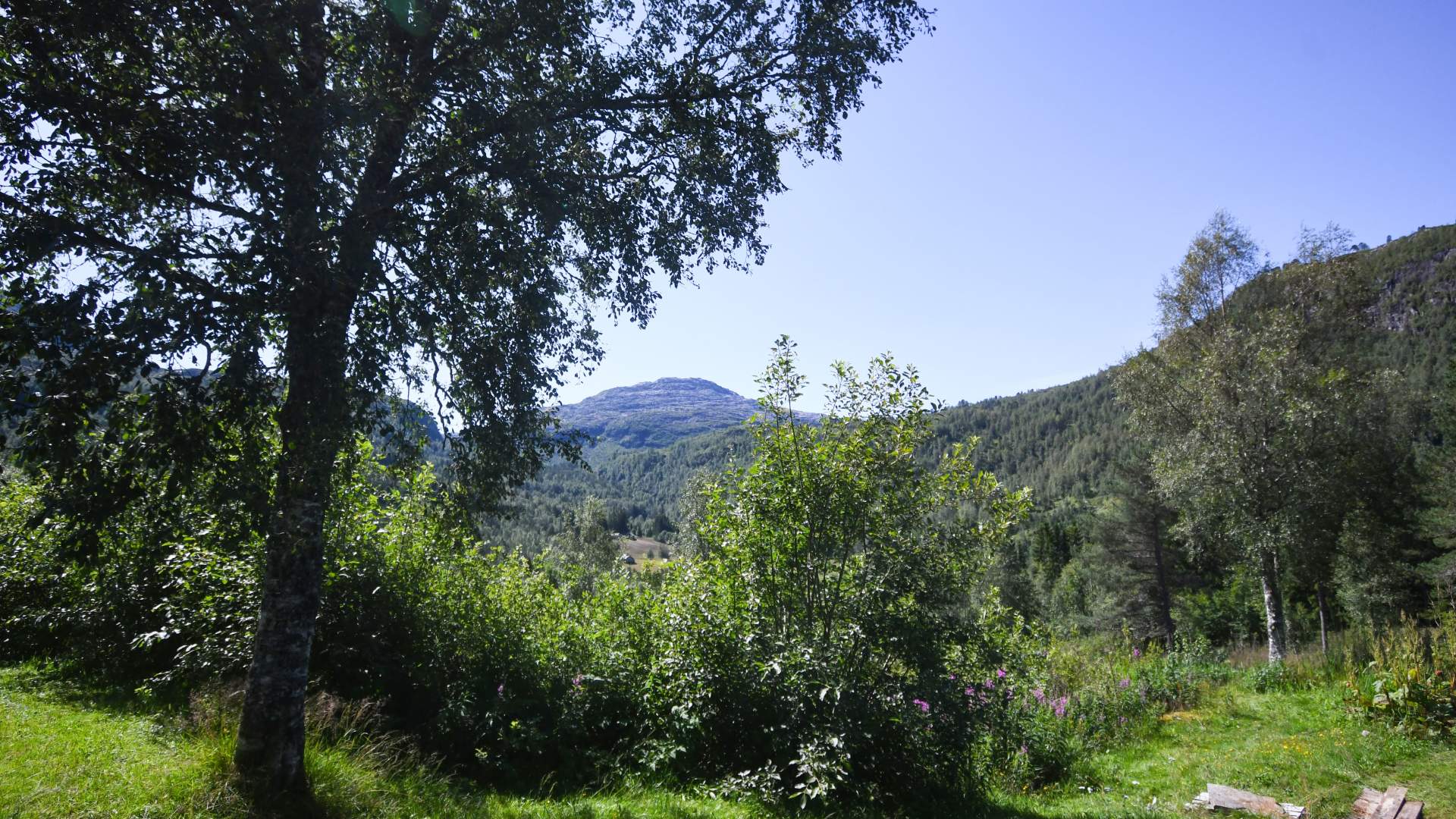 Voss Lodge Rongastovo