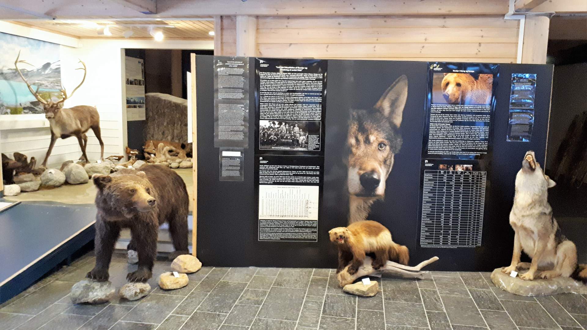 Jostedalsbreen National Park Centre