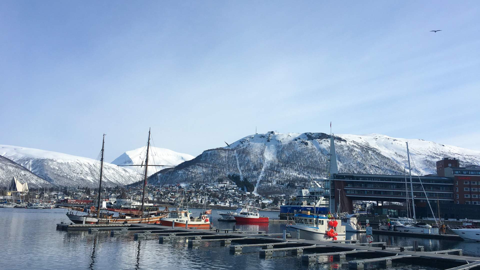 Private Tromsø city walk