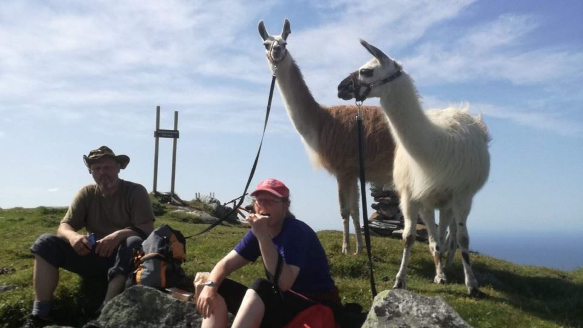 Tur med Lama