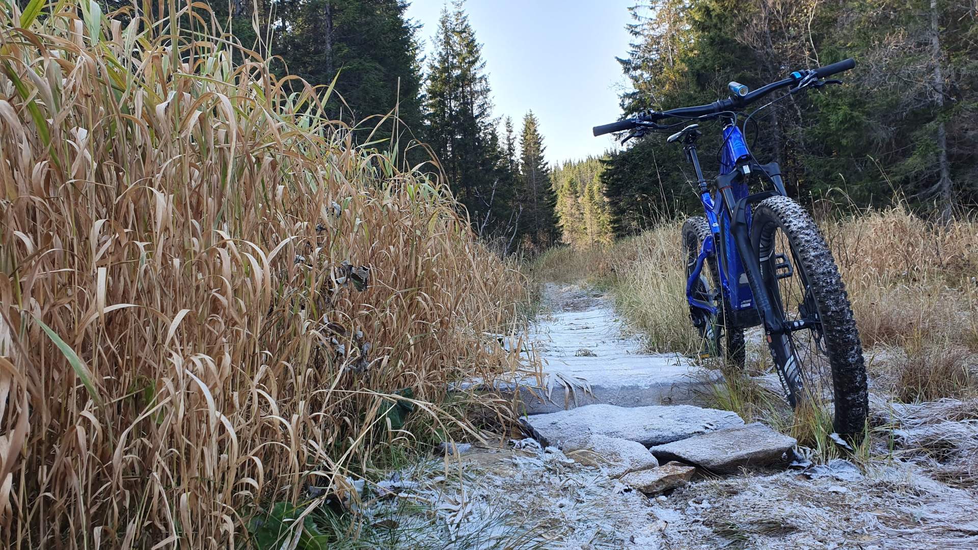 Experience North &#8211; Guidede eBike Tours