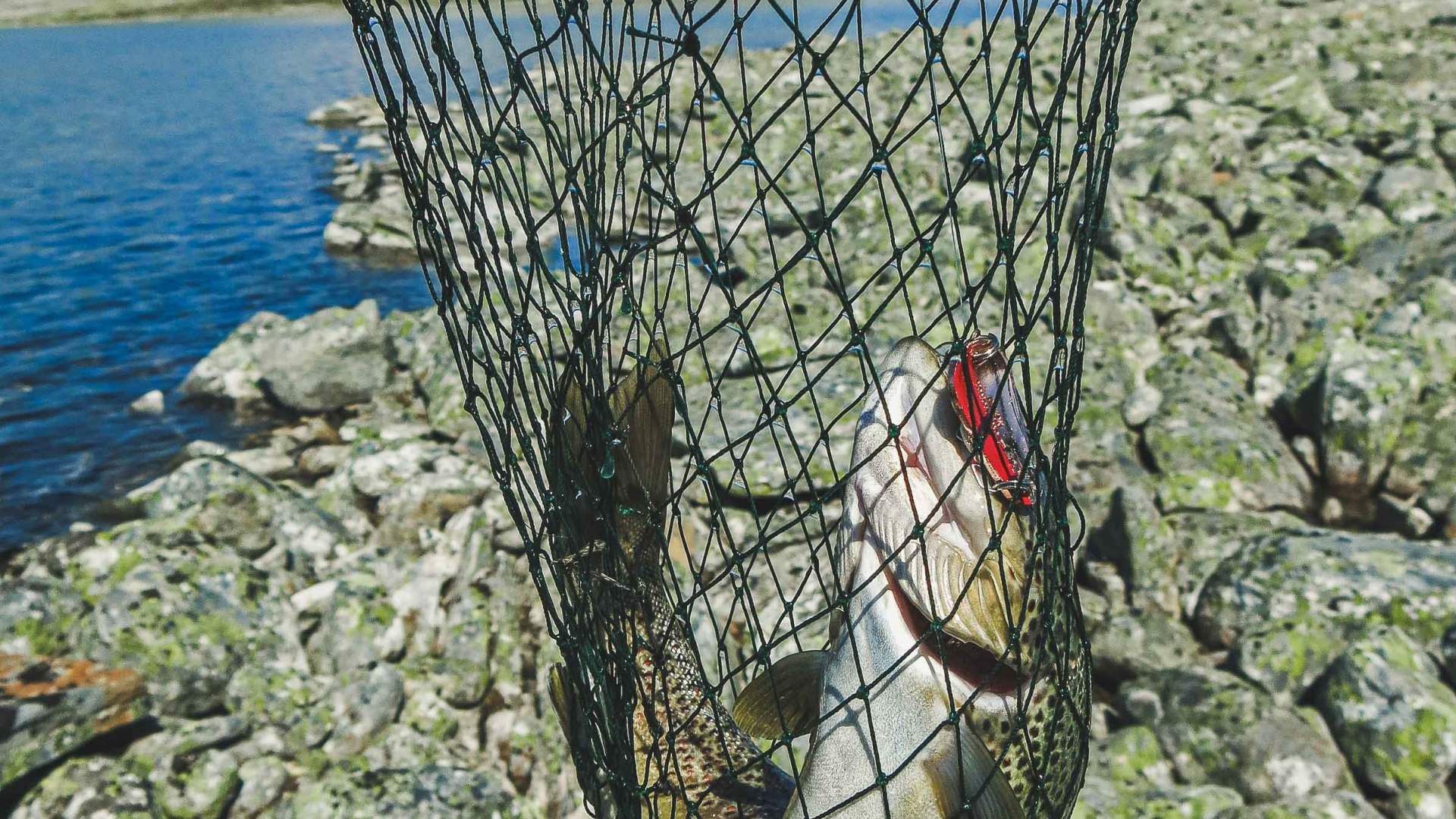 Fishing in Skjåk
