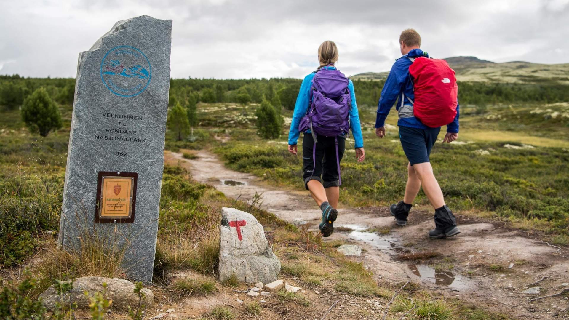 XC Skiing from lodge to lodge in Rondane - with luggage transfer