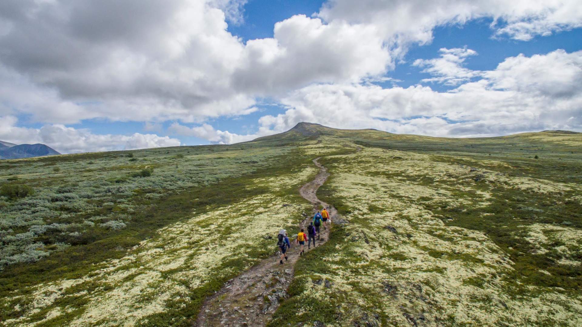 XC Skiing from lodge to lodge in Rondane - with luggage transfer