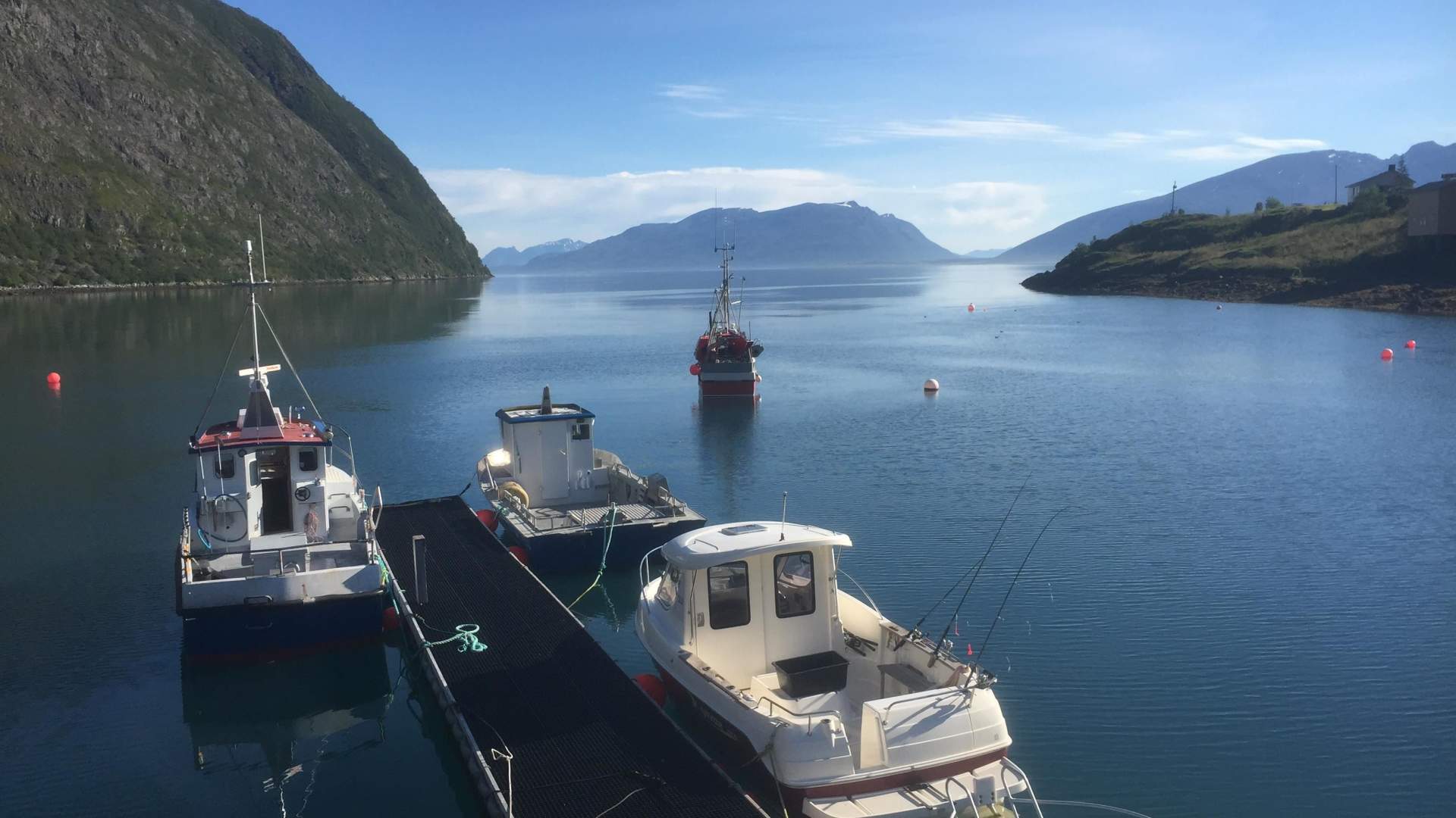 Guidet fisketur eller båtsightseeing med Koppangen Brygger