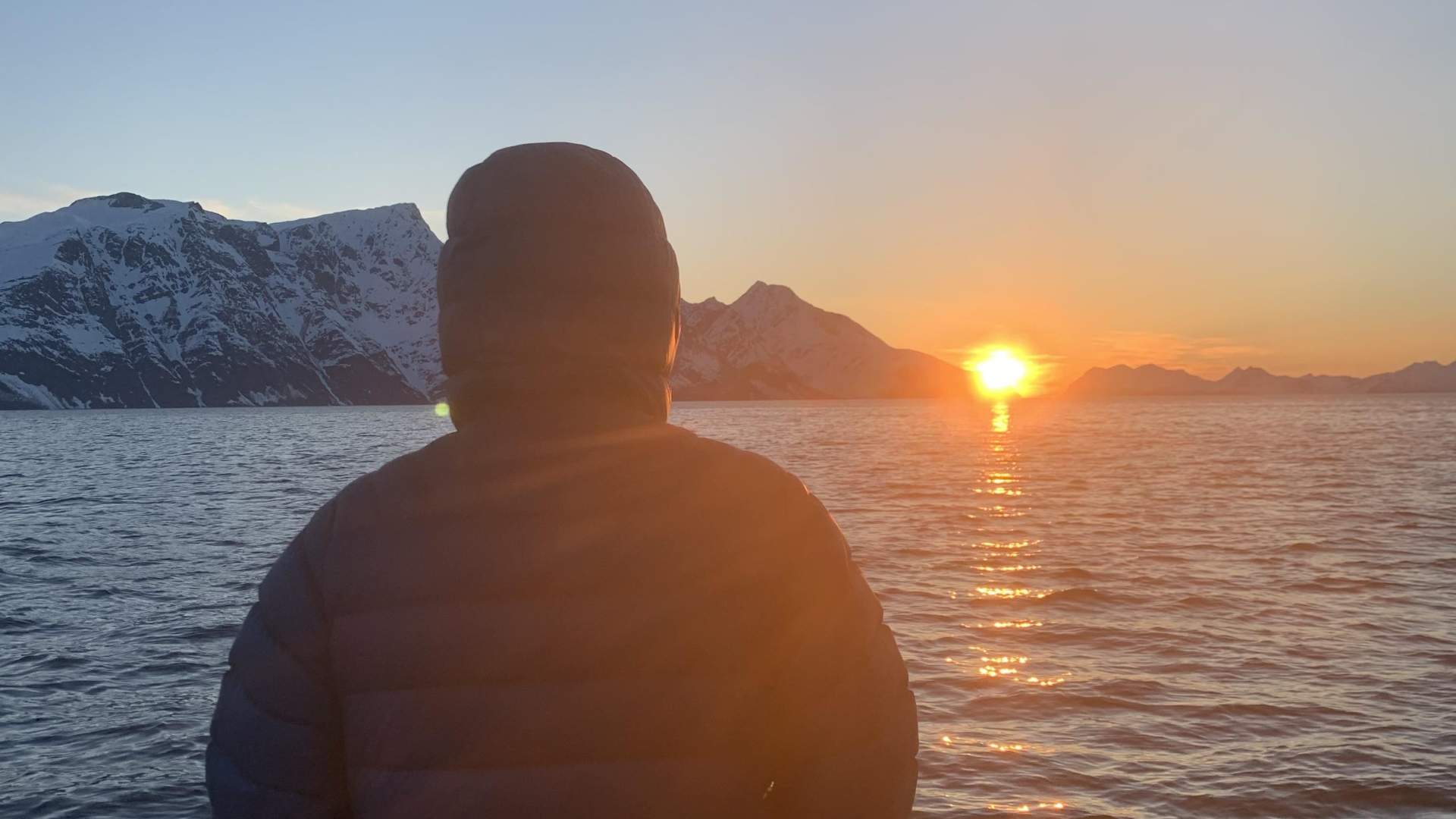 Guidet fisketur eller båtsightseeing med Koppangen Brygger