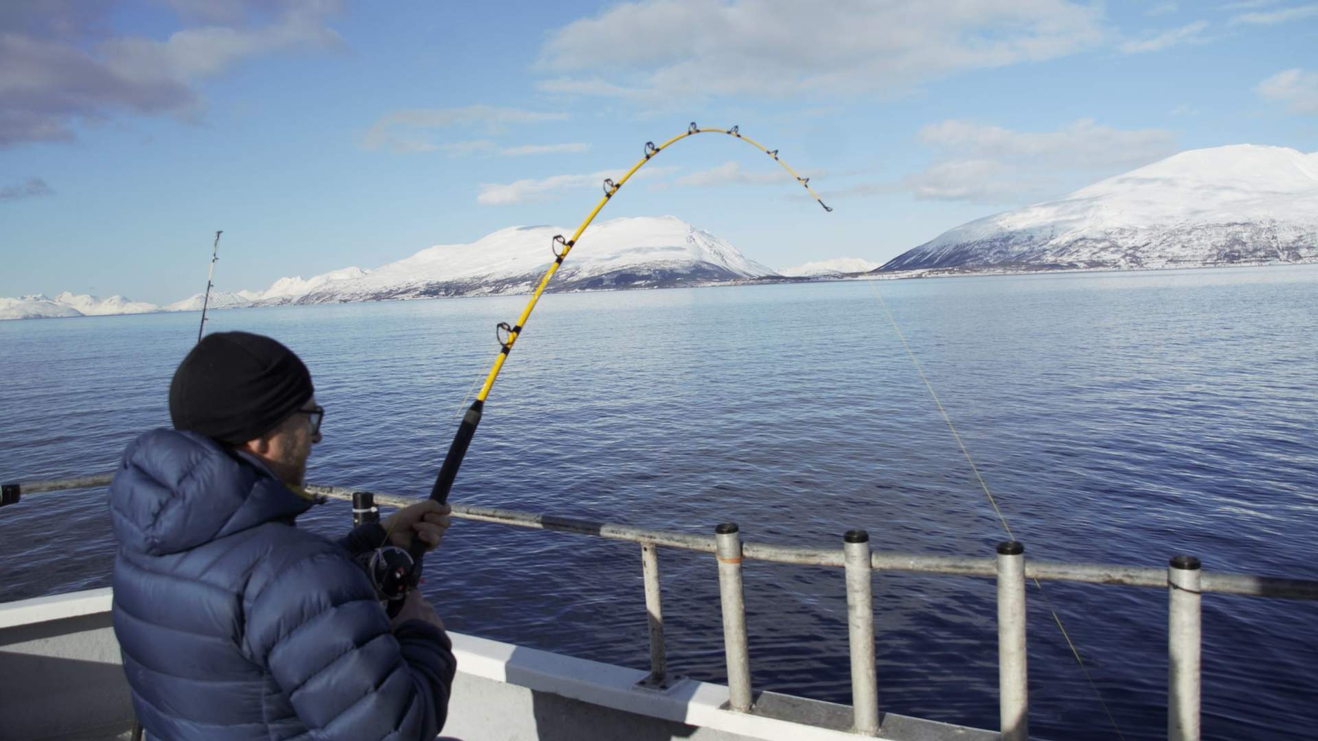 Guided fishing trip or fjord sightseeing with Koppangen Brygger