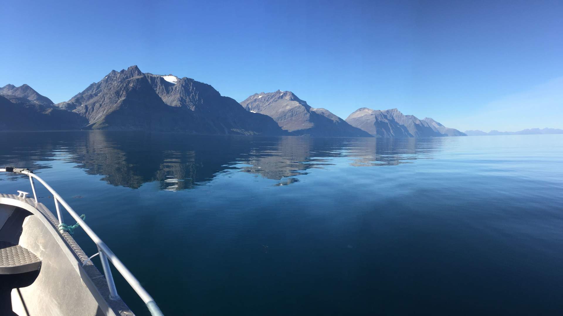 Guidet fisketur eller båtsightseeing med Koppangen Brygger