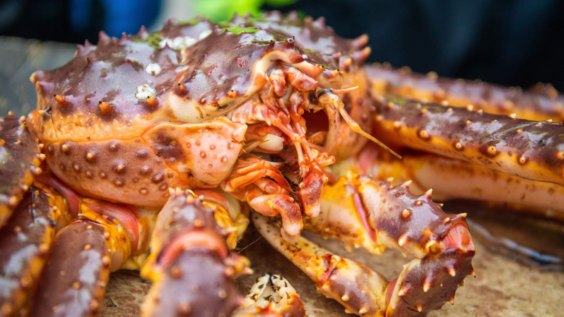 King Crab Express