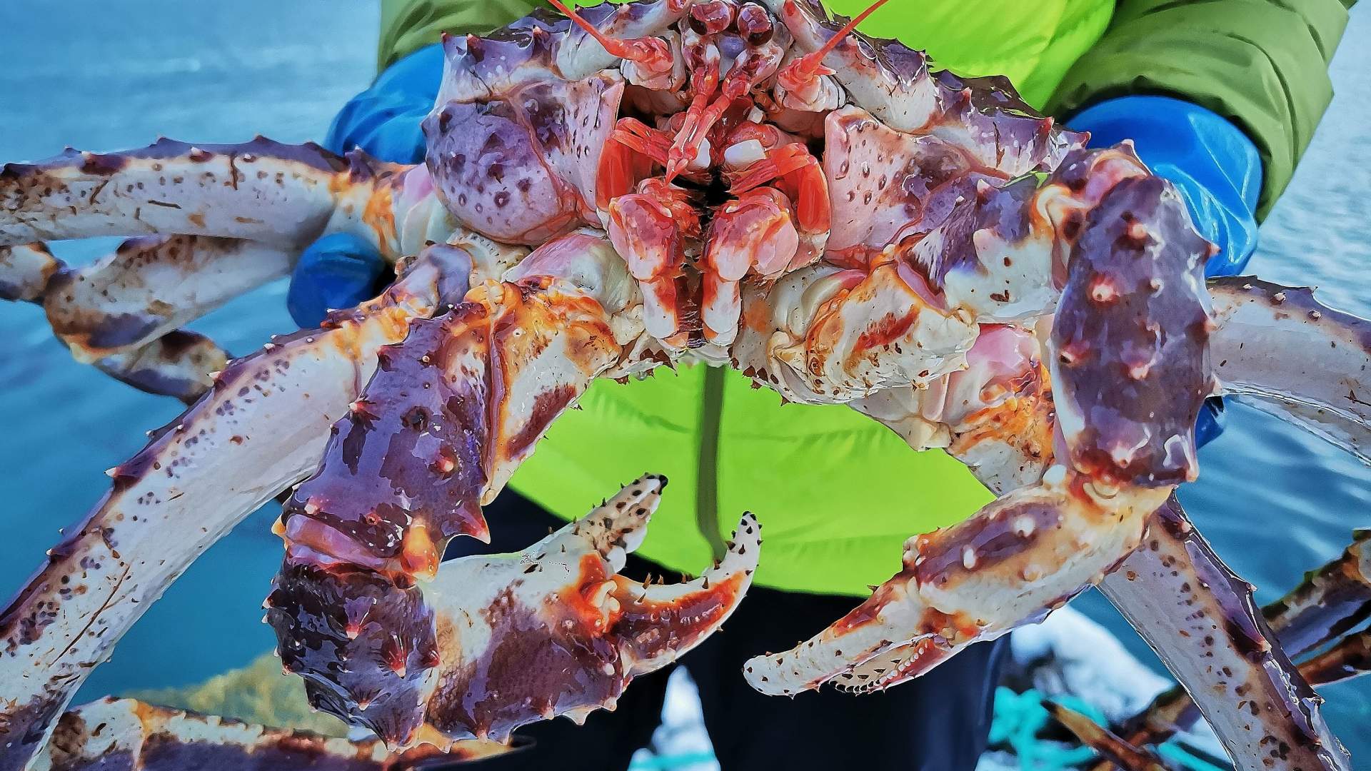 King Crab Express