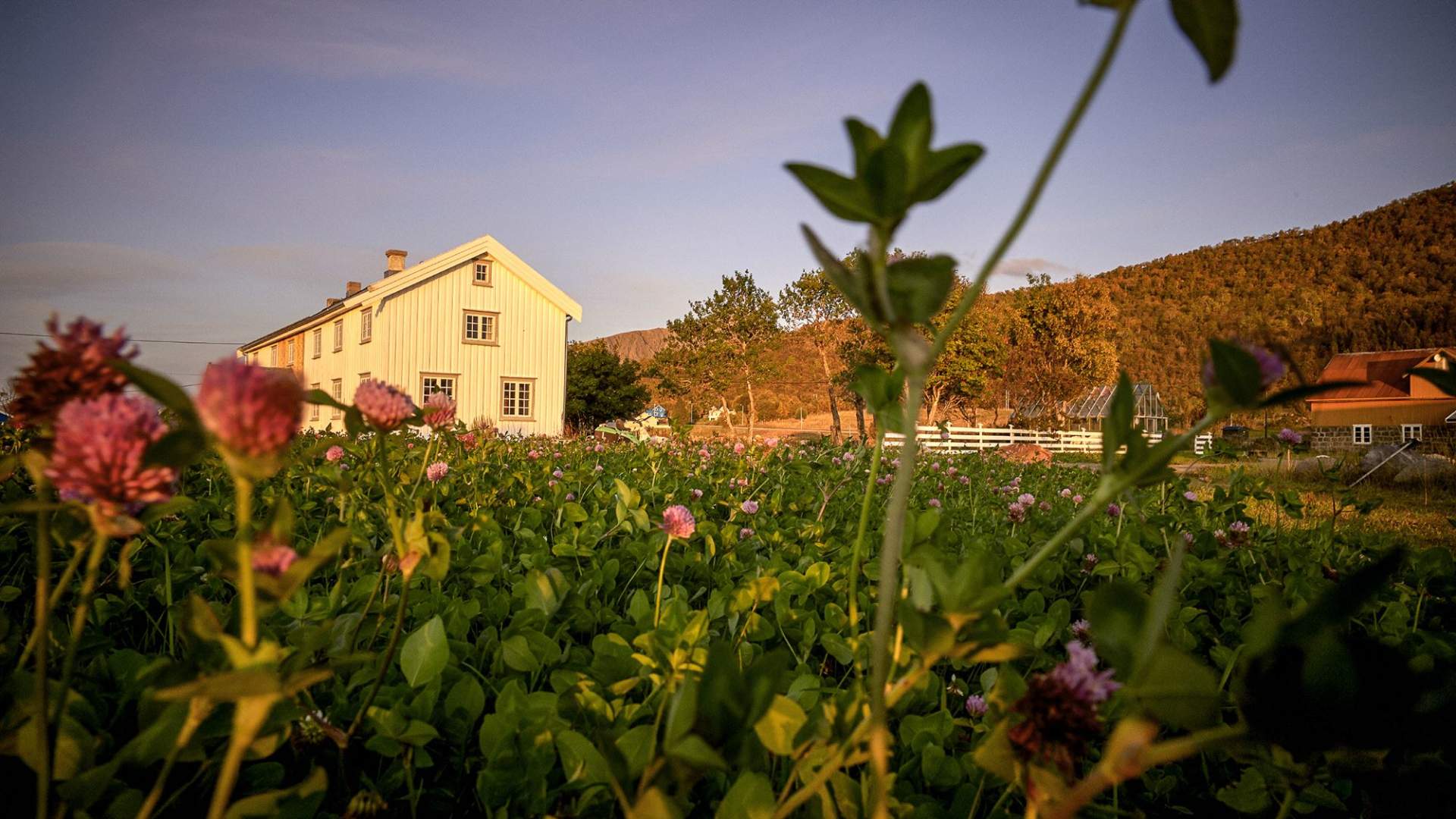 Kvitnes Farm