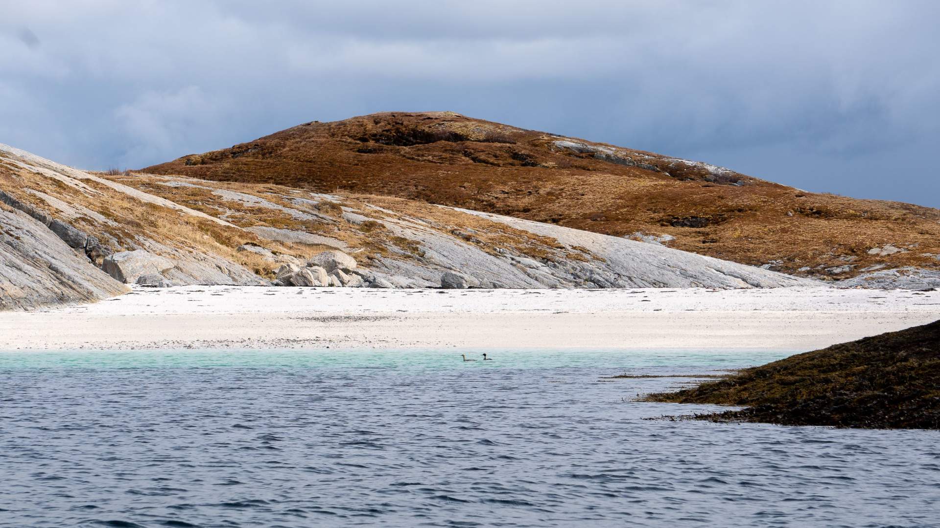RIB safari in the archipelago of Bodø