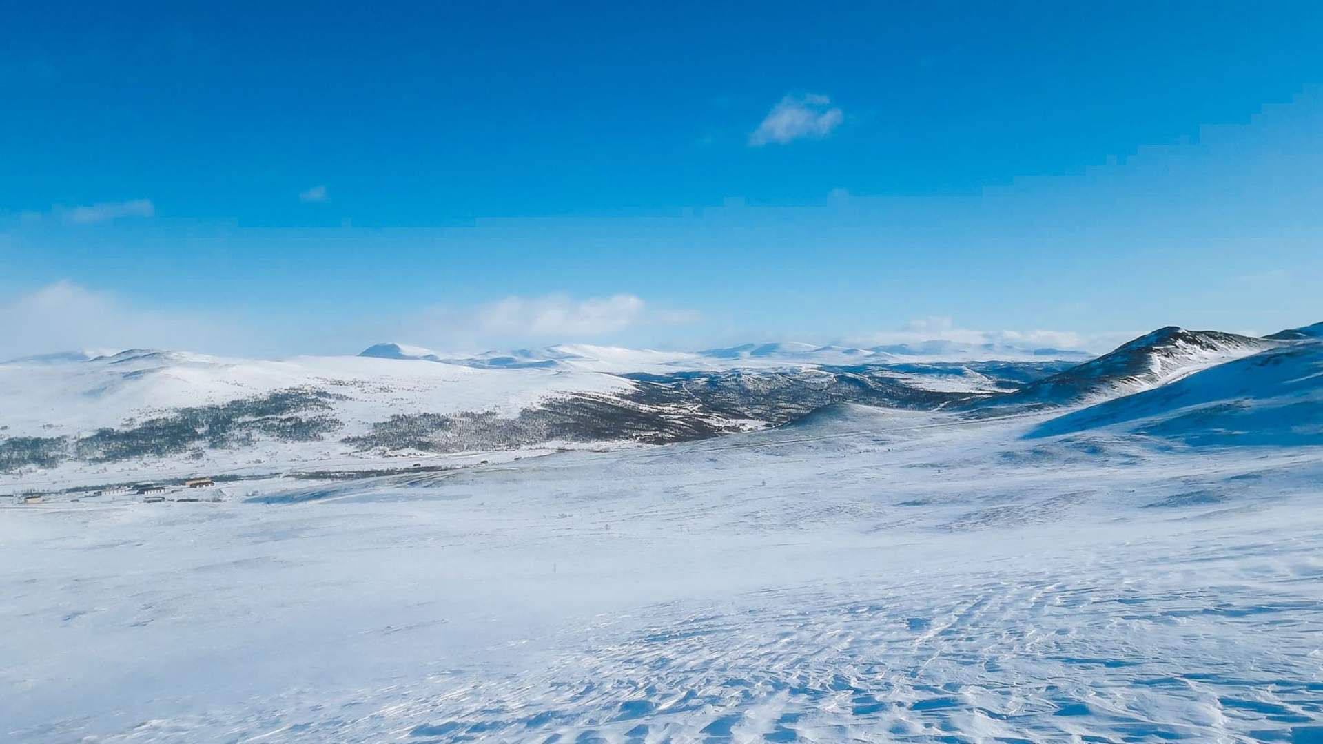 Moskusstuggu Overnatting og kultursenter - Dovrefjell National Park for all seasons!