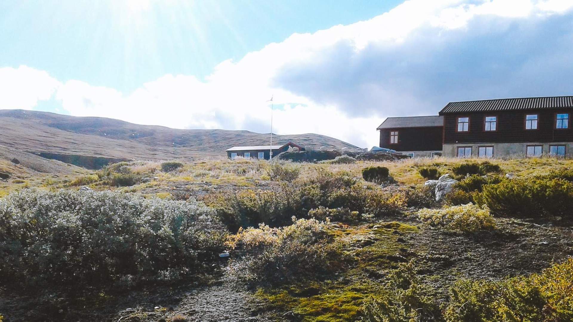 Moskusstuggu Overnatting og kultursenter - Dovrefjell National Park for all seasons!