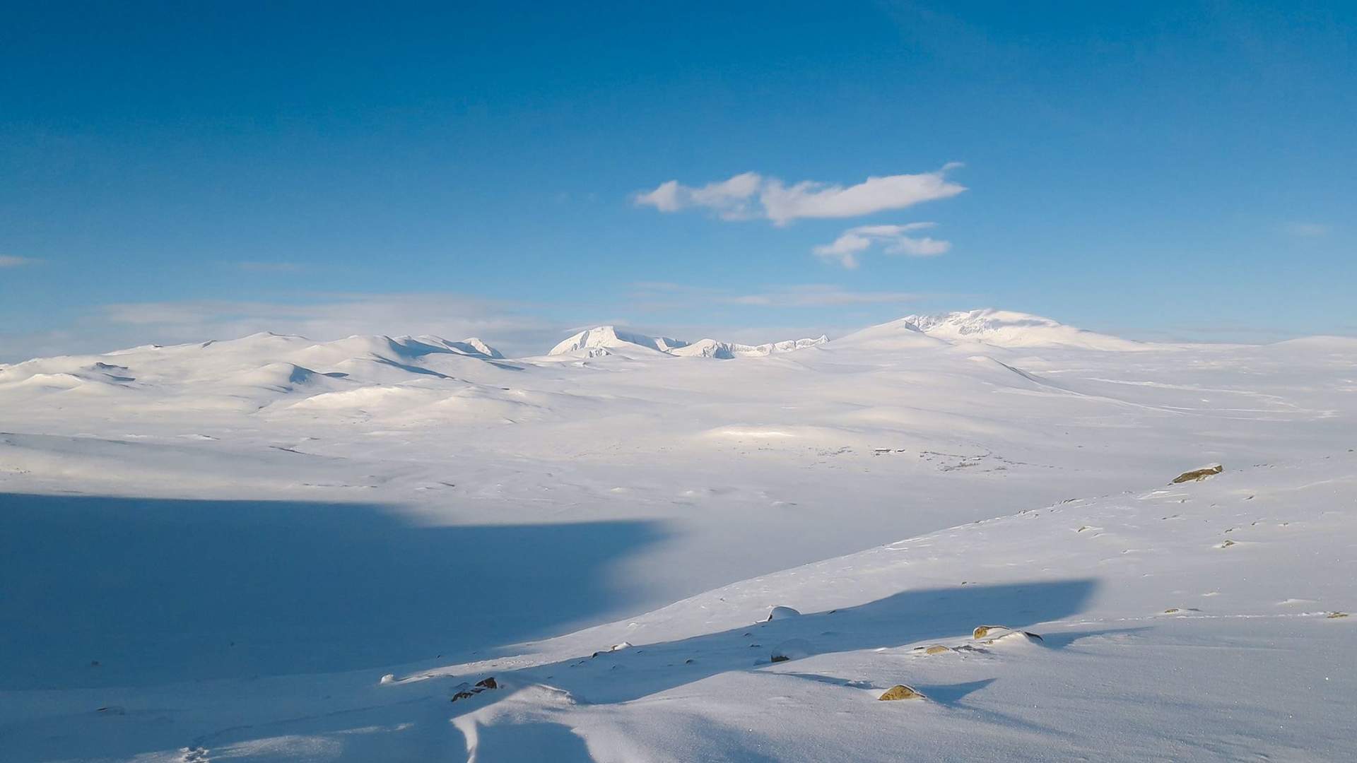 Moskusstuggu Overnatting og kultursenter - Dovrefjell National Park for all seasons!