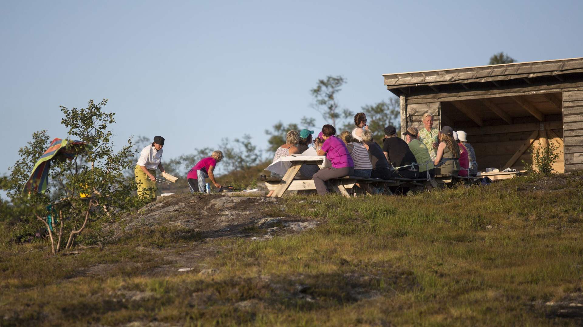 Heges Matopplevelser