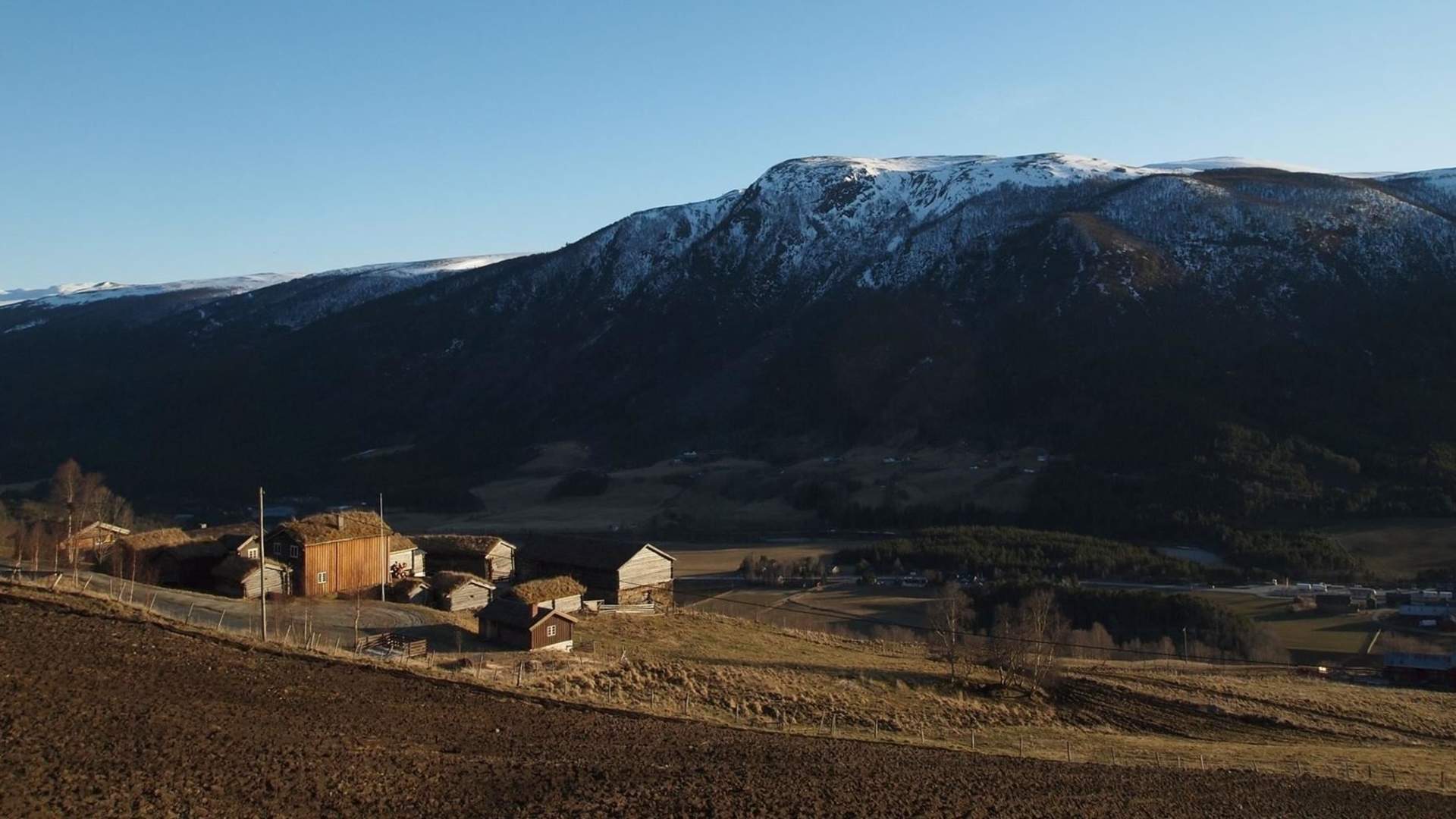 Budsjord