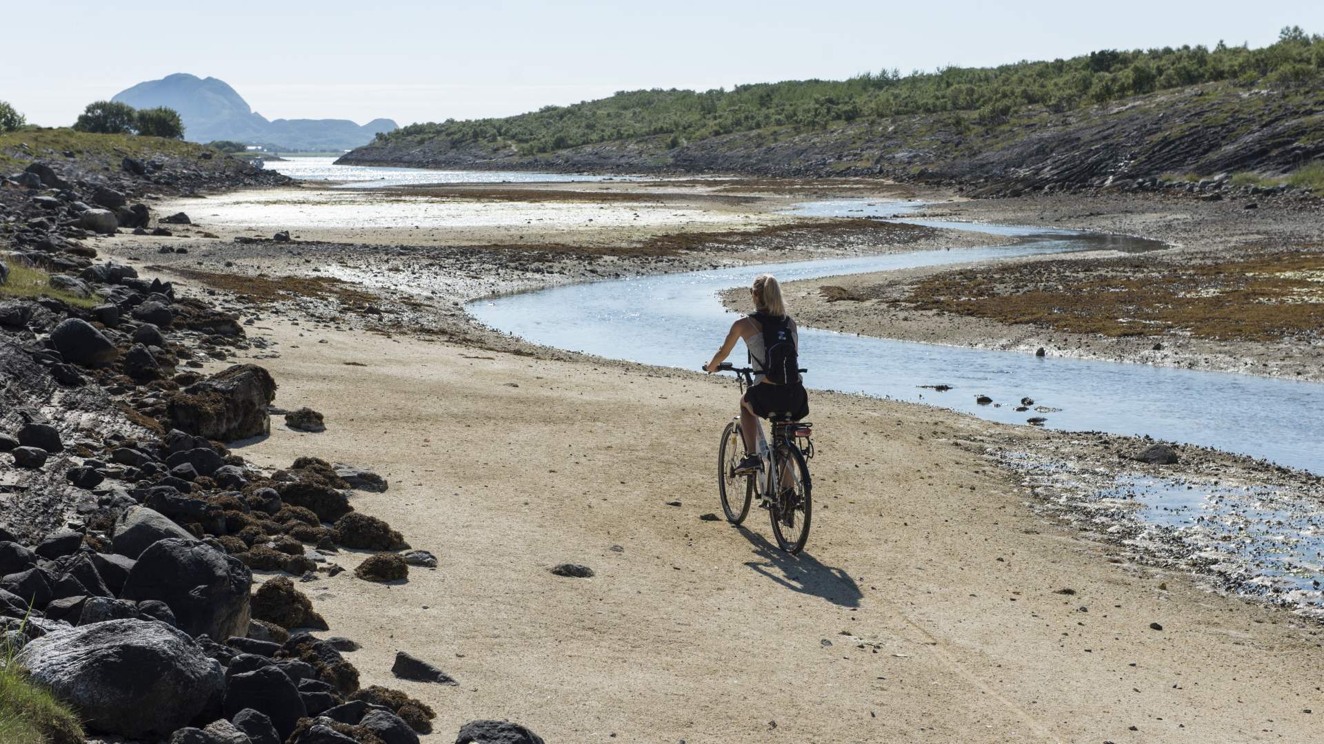 Sommerlig sykkellykke med familien
