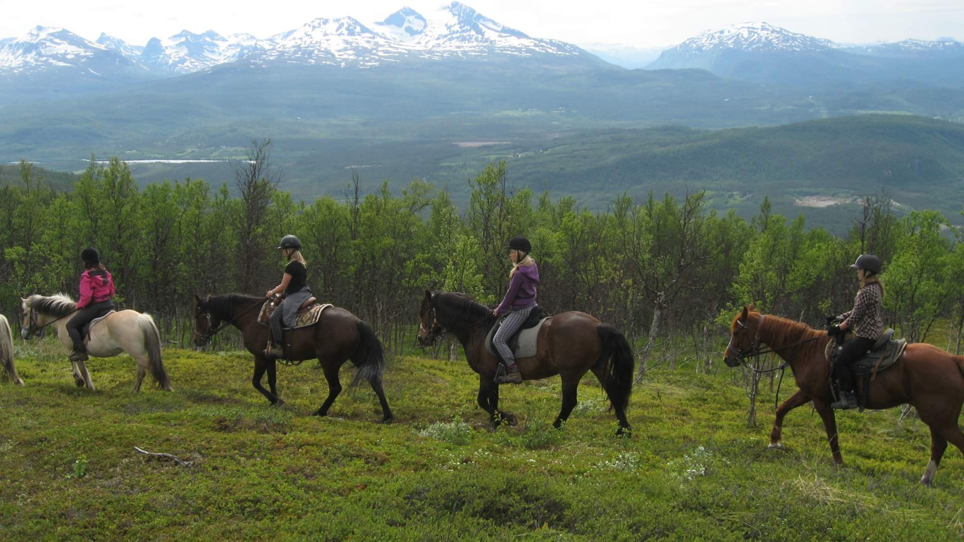 Horseback riding excursion 3 hours