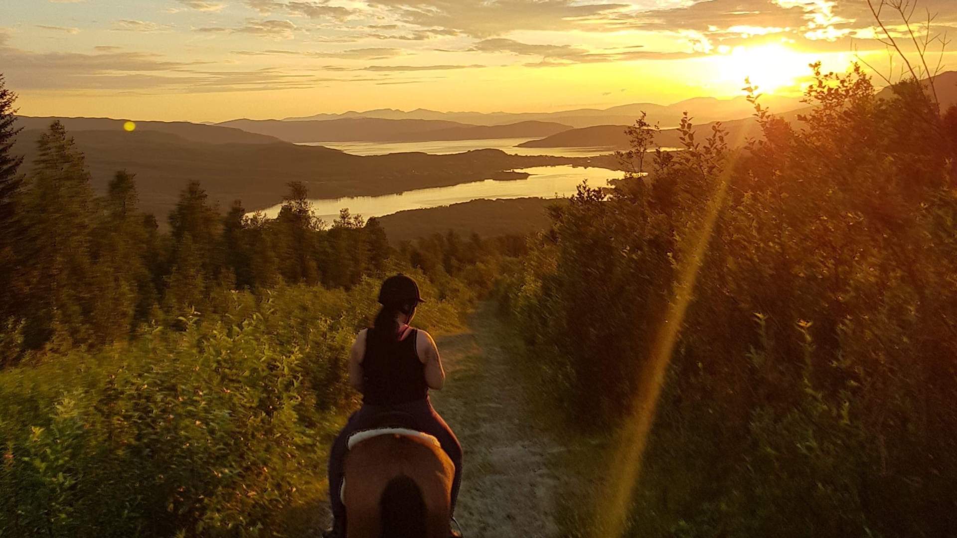 Horseback riding excursion 3 hours