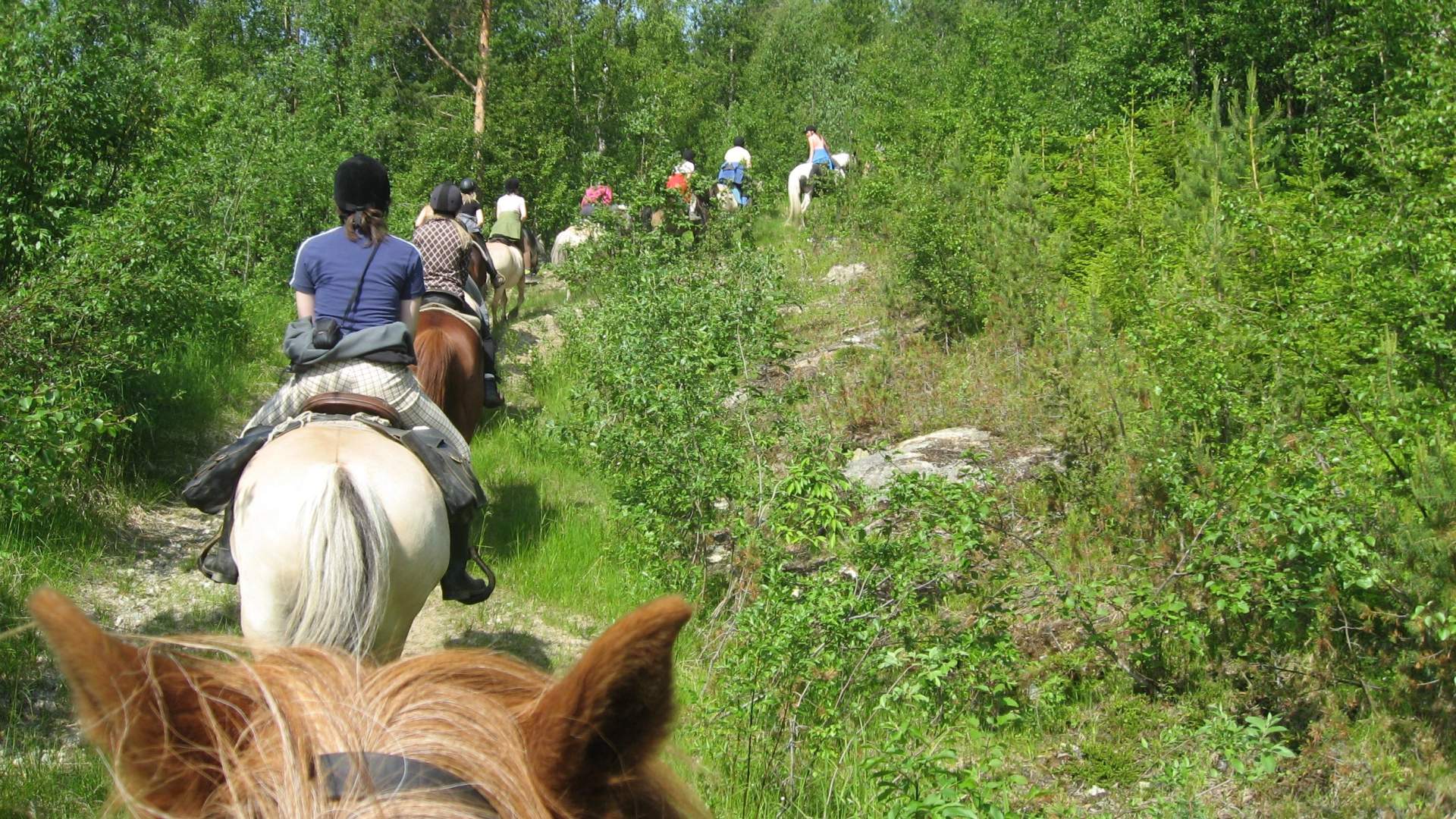 Horseback riding excursion 3 hours