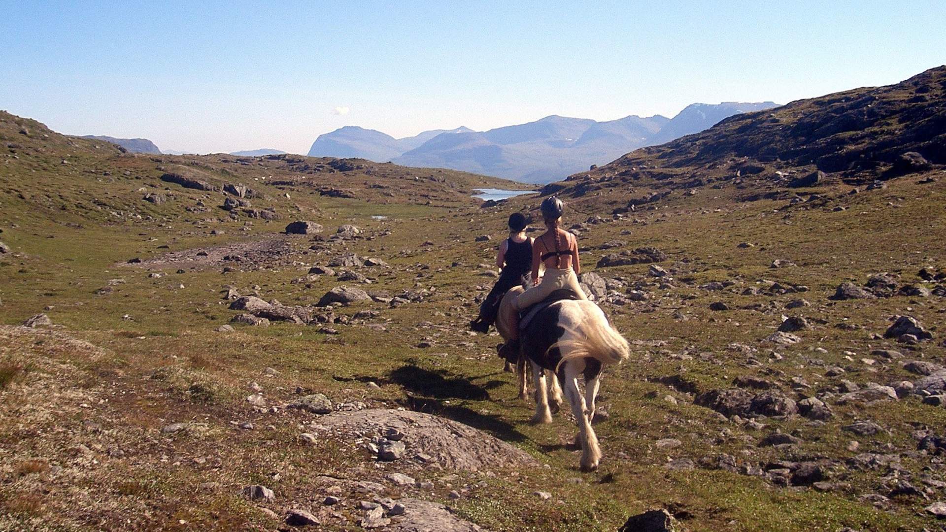 Horseback riding excursion 3 hours