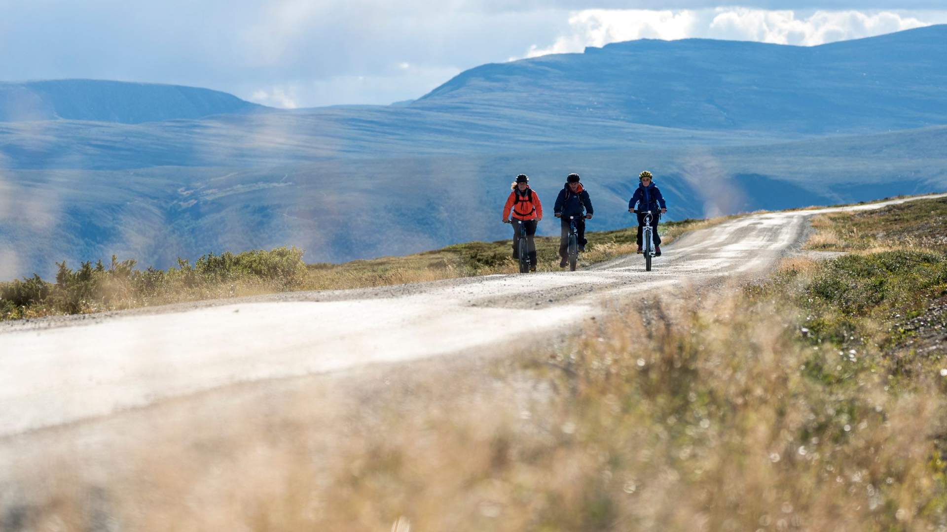 Bike and train - fra Rørosbanen til Dovrebanen