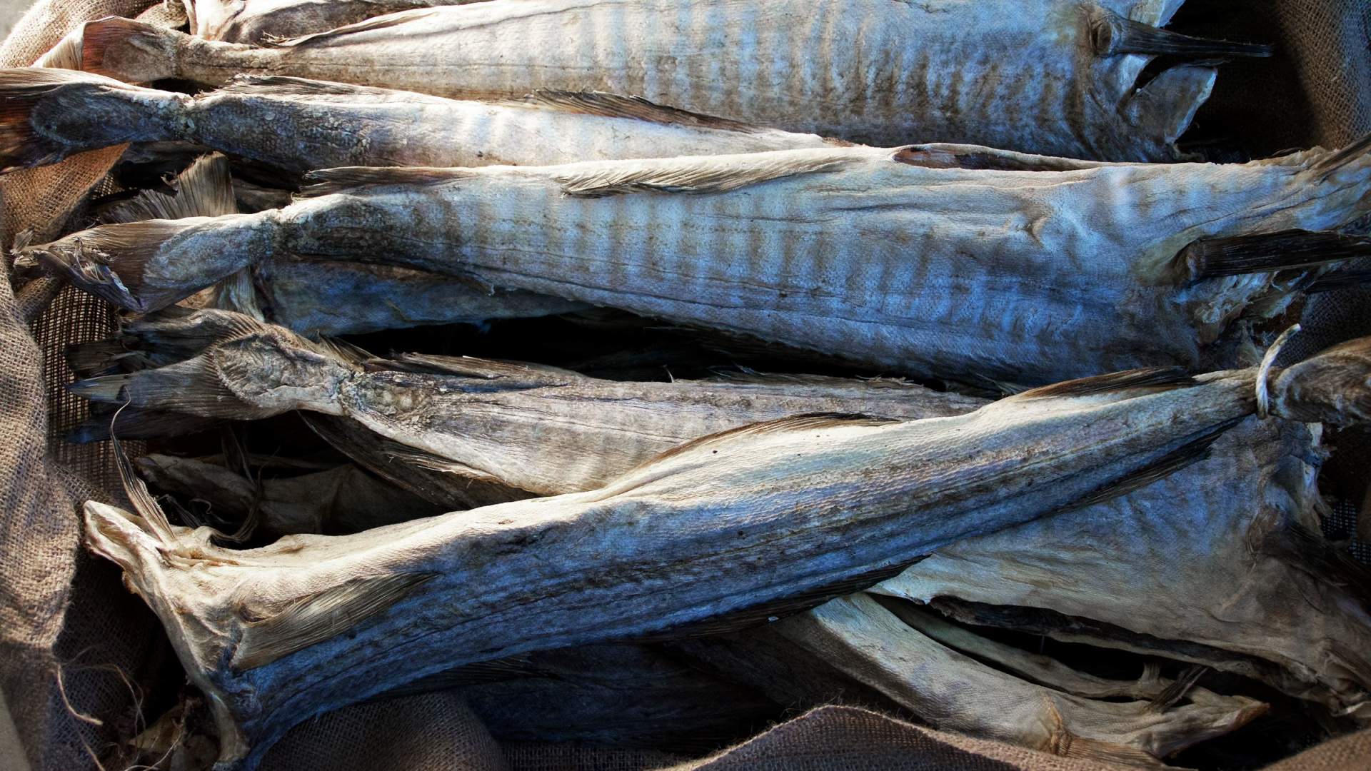 Tørrfisk