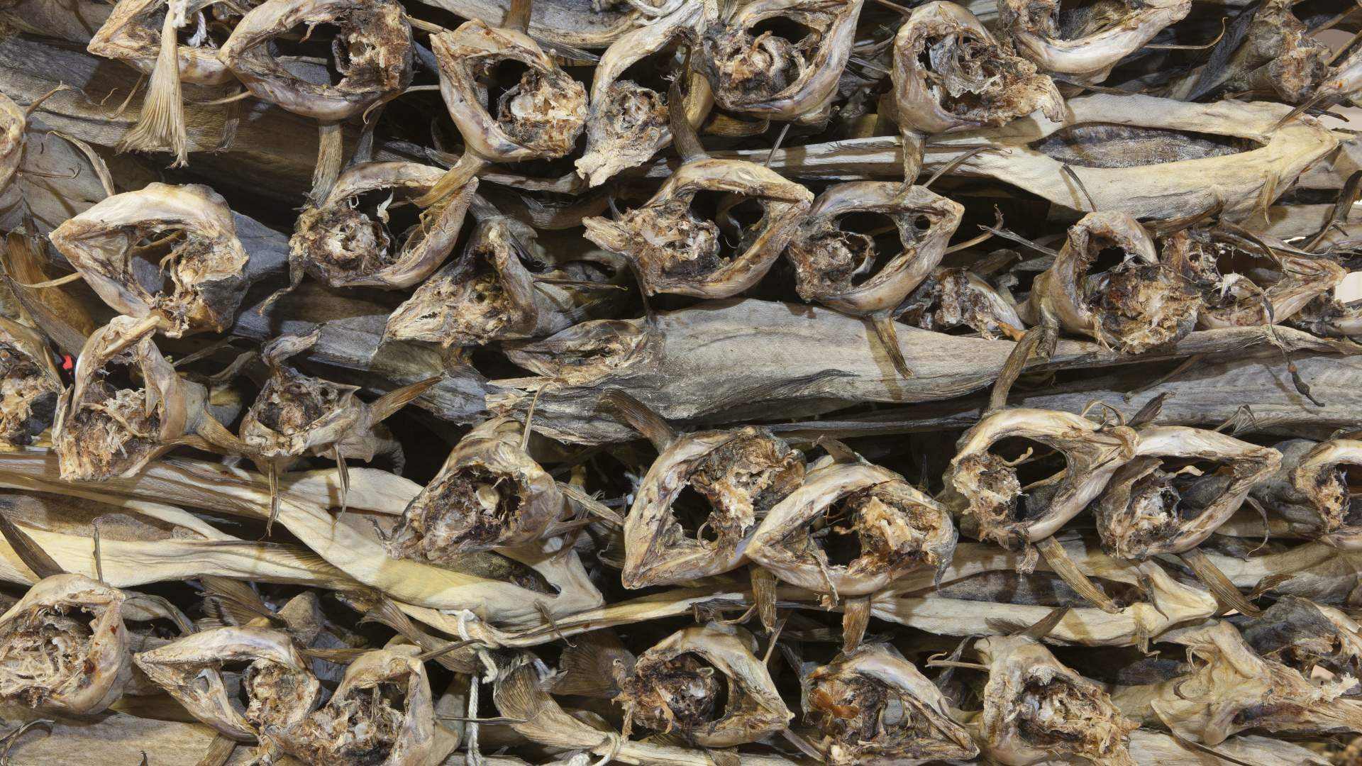 Palletising of fish