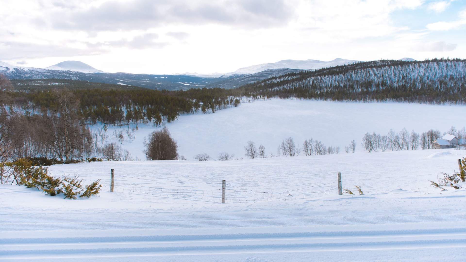 Lemonsjøen