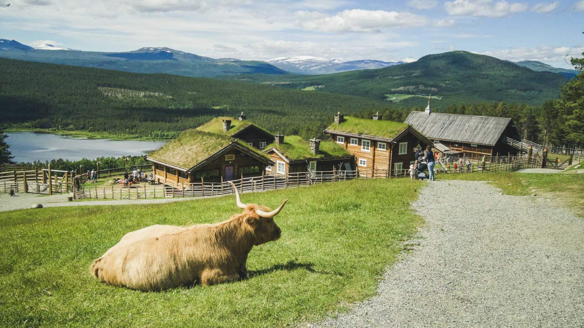 Glittersjå mountain farm