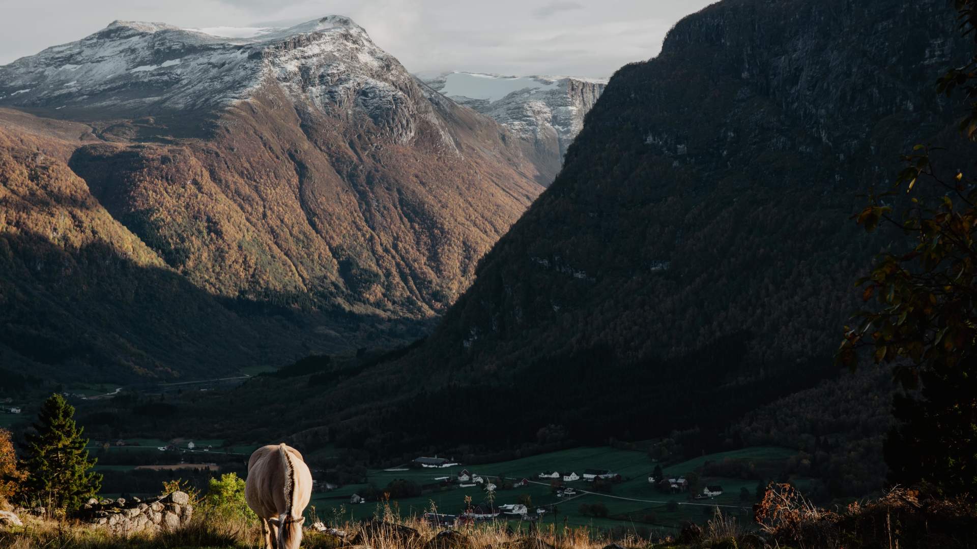 Øvresetstøylen summer pasture farm