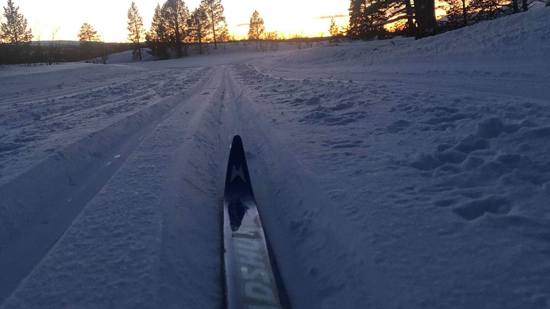 Herjangsfjellet Langrennsløype
