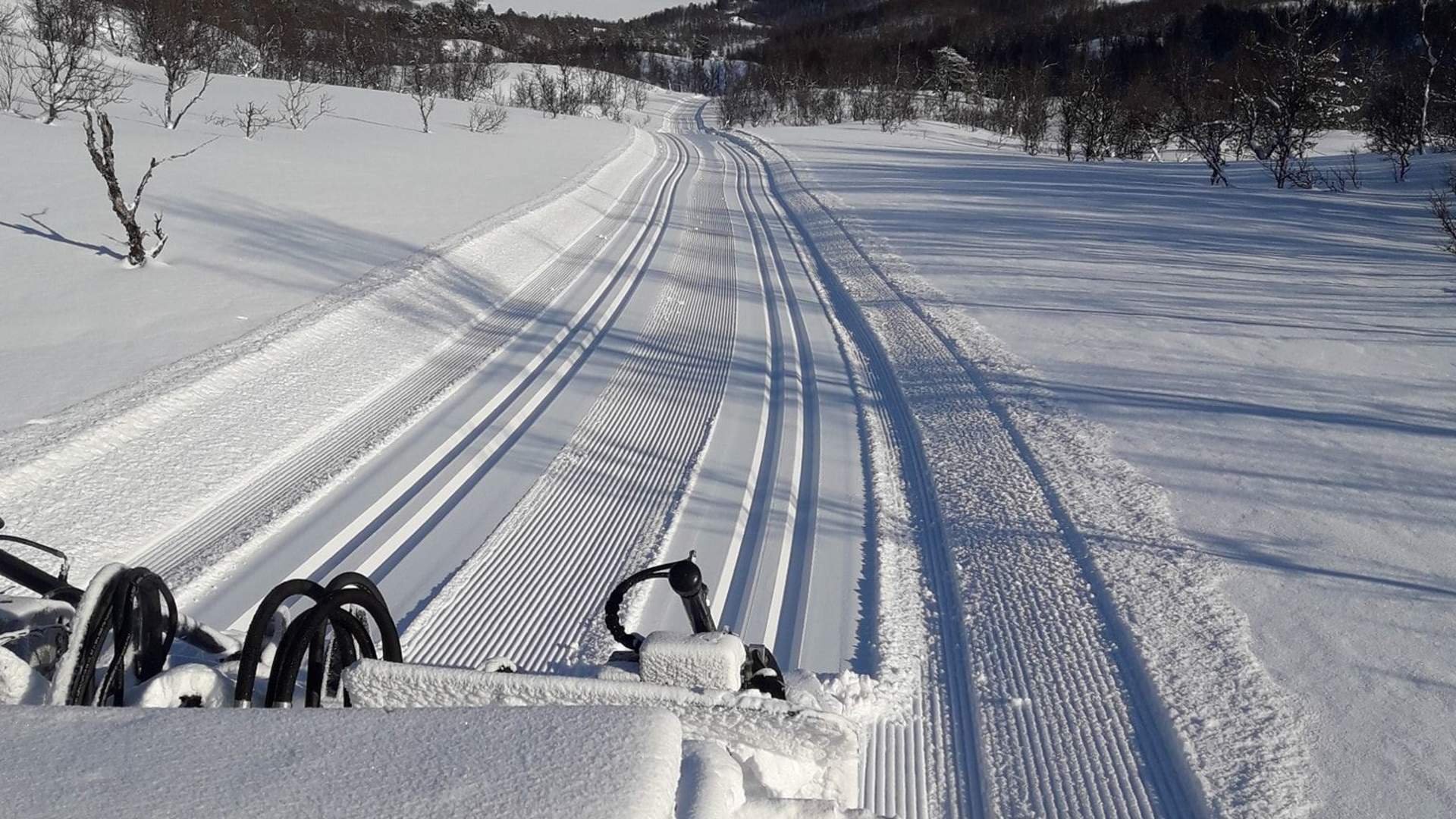 Herjangsfjellet Langrennsløype