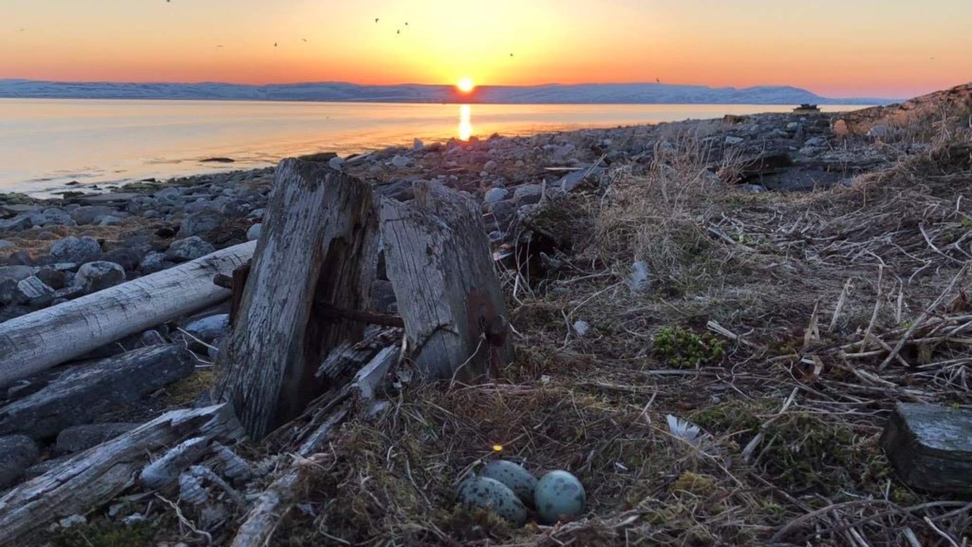 Tamsøya - A journey back in time