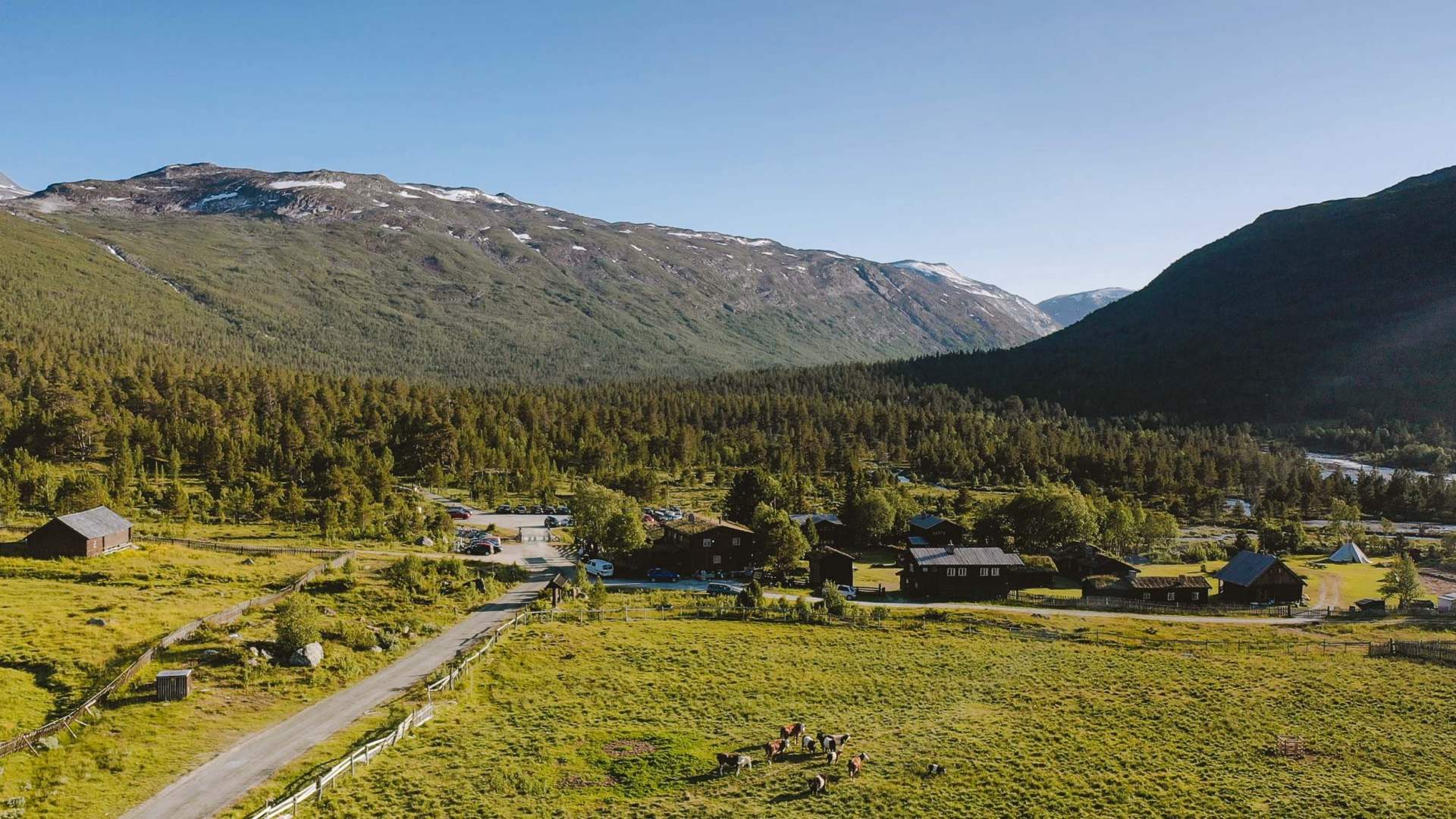 Sota Sæter