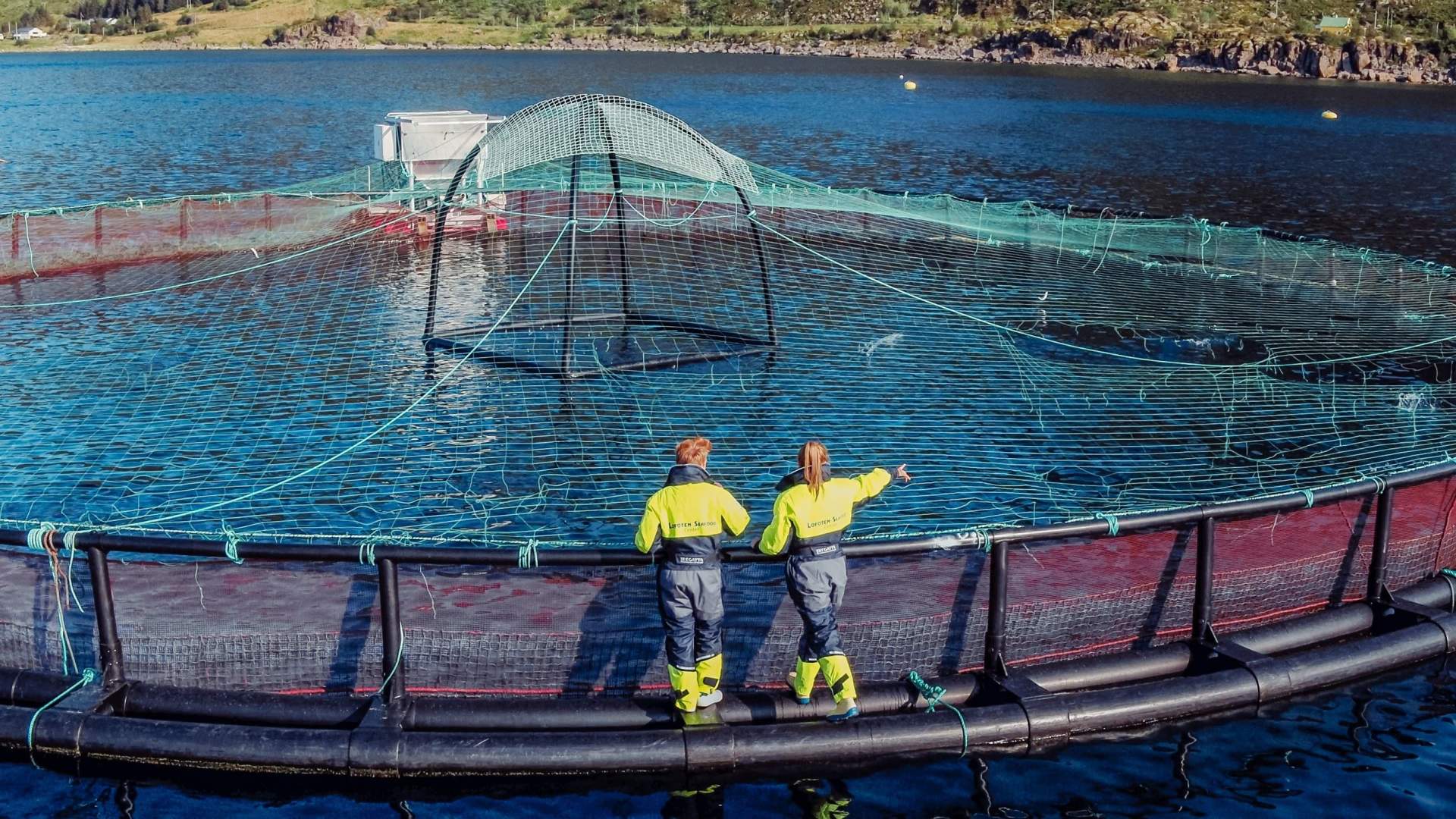 Lofoten Seafood Center in Mortsund