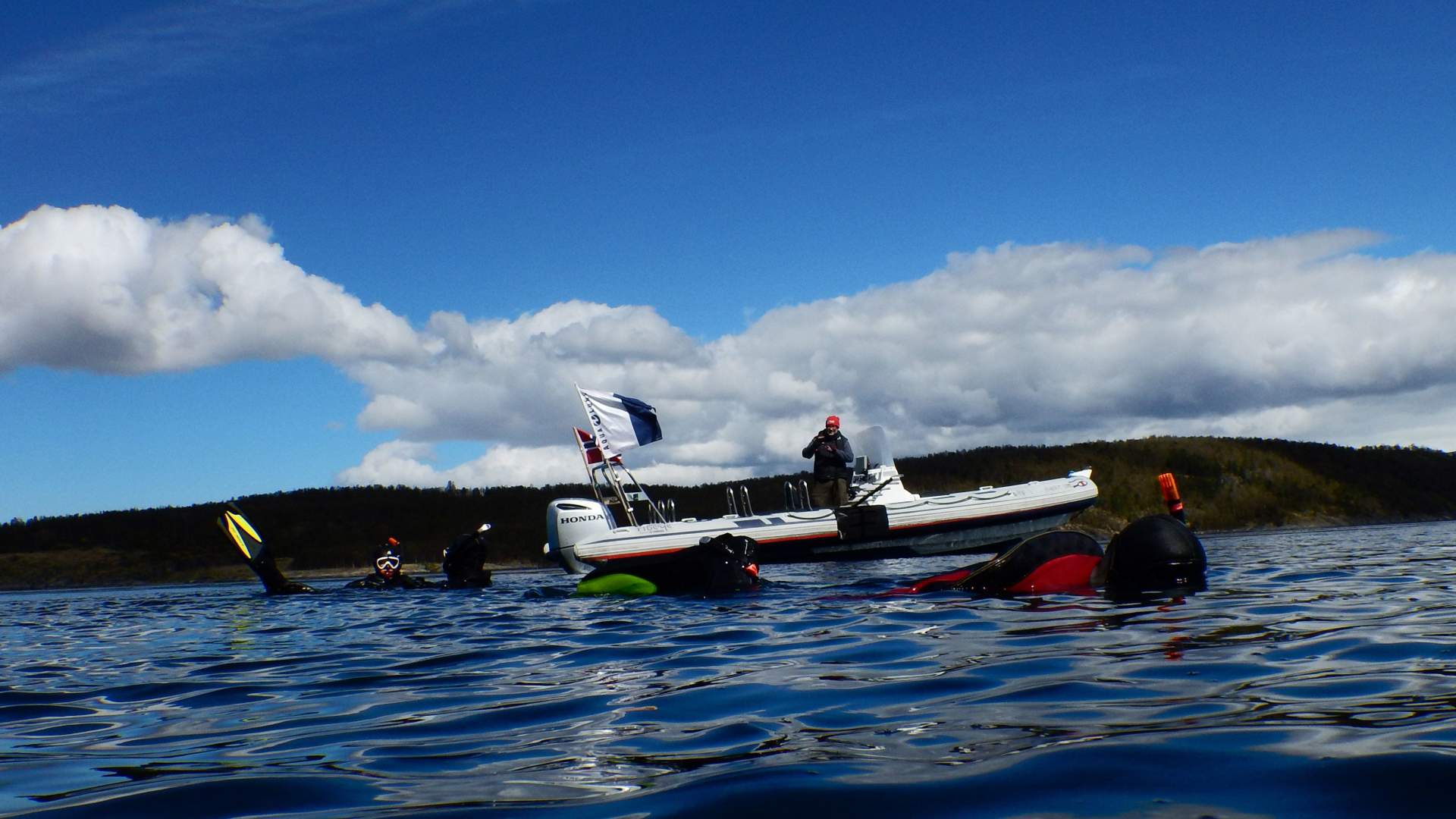 Snorkling i Saltstraumen