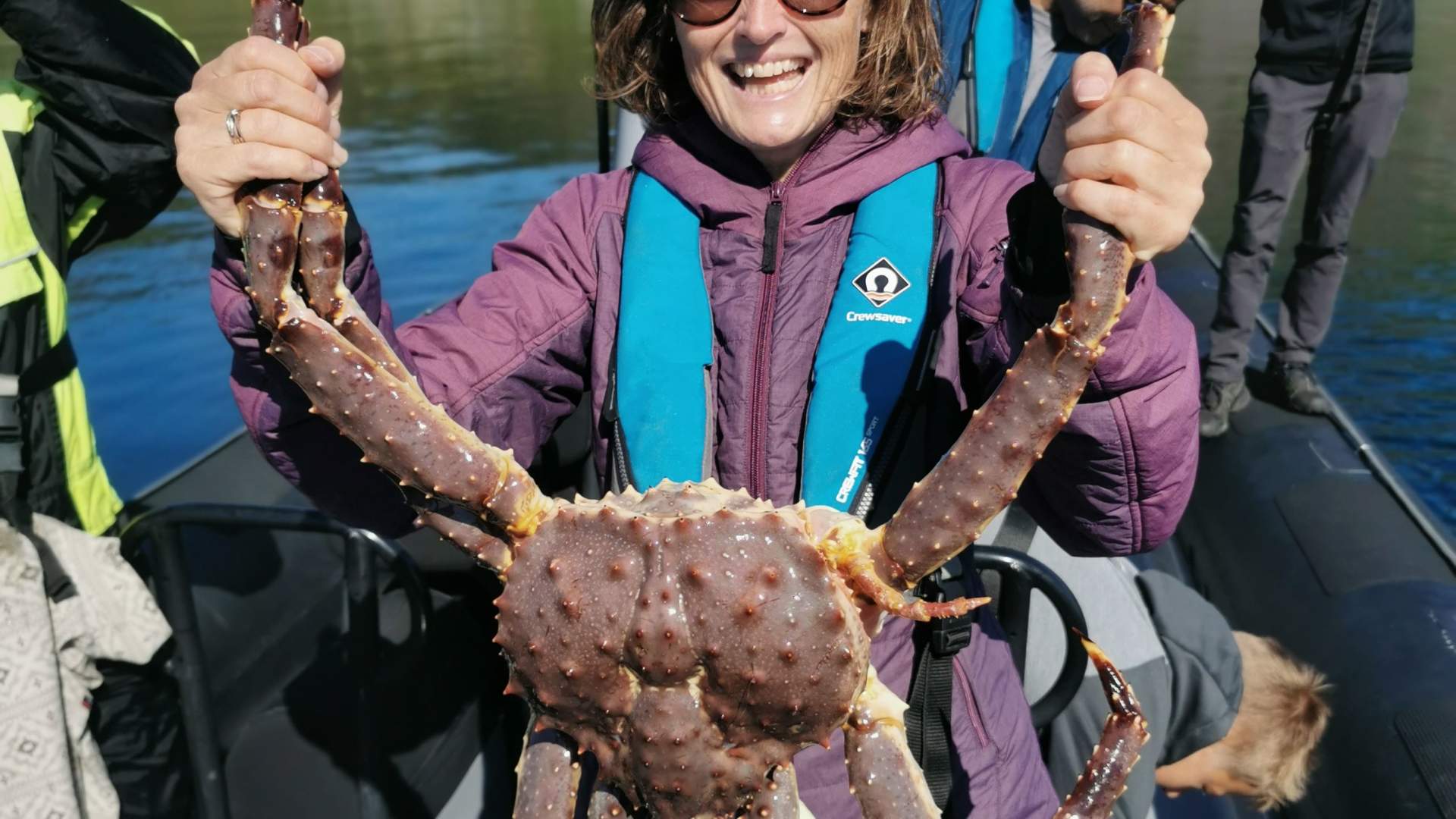 From sea to shore, the wondrous world of the king crab