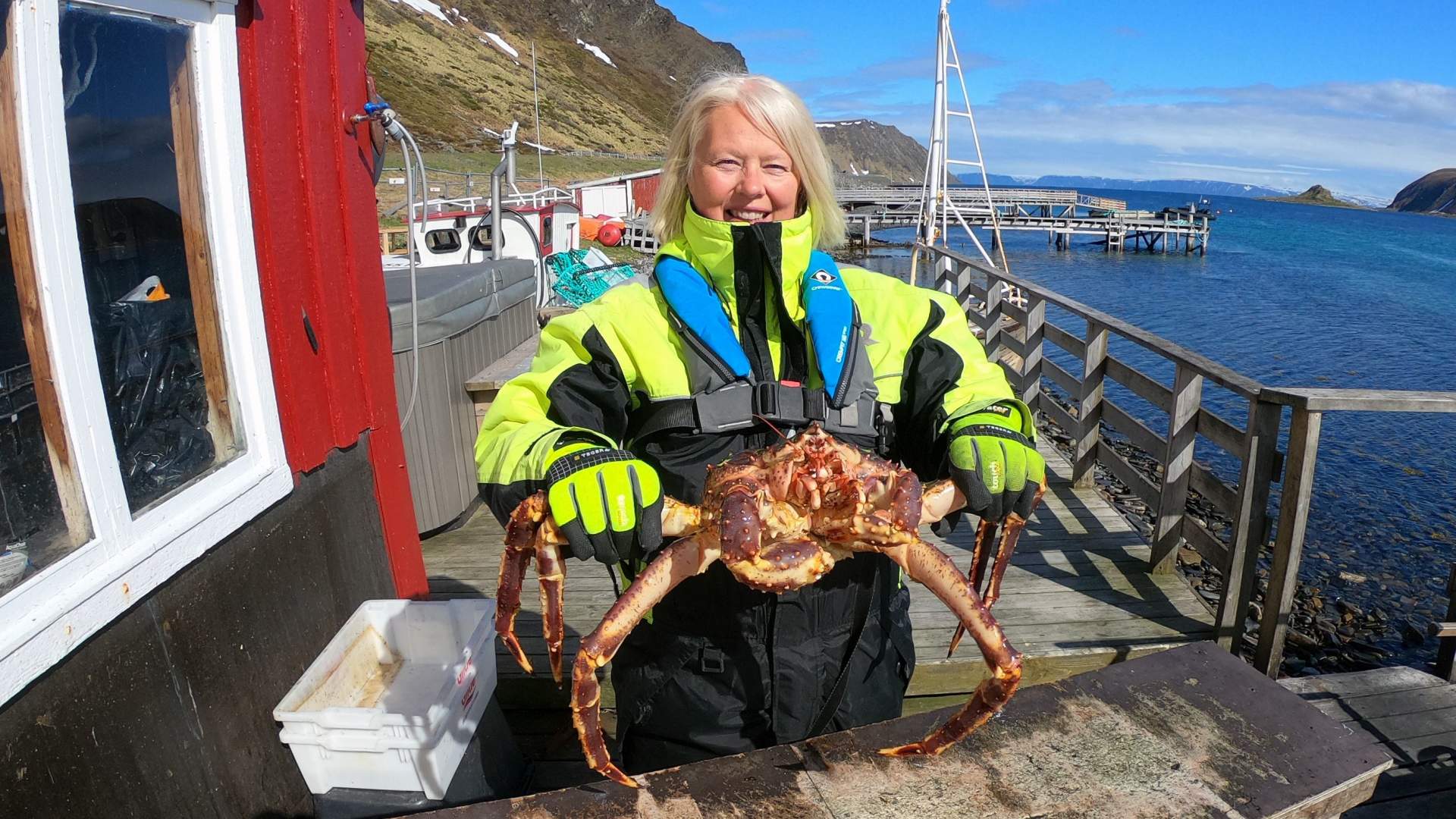 From sea to shore, the wondrous world of the king crab