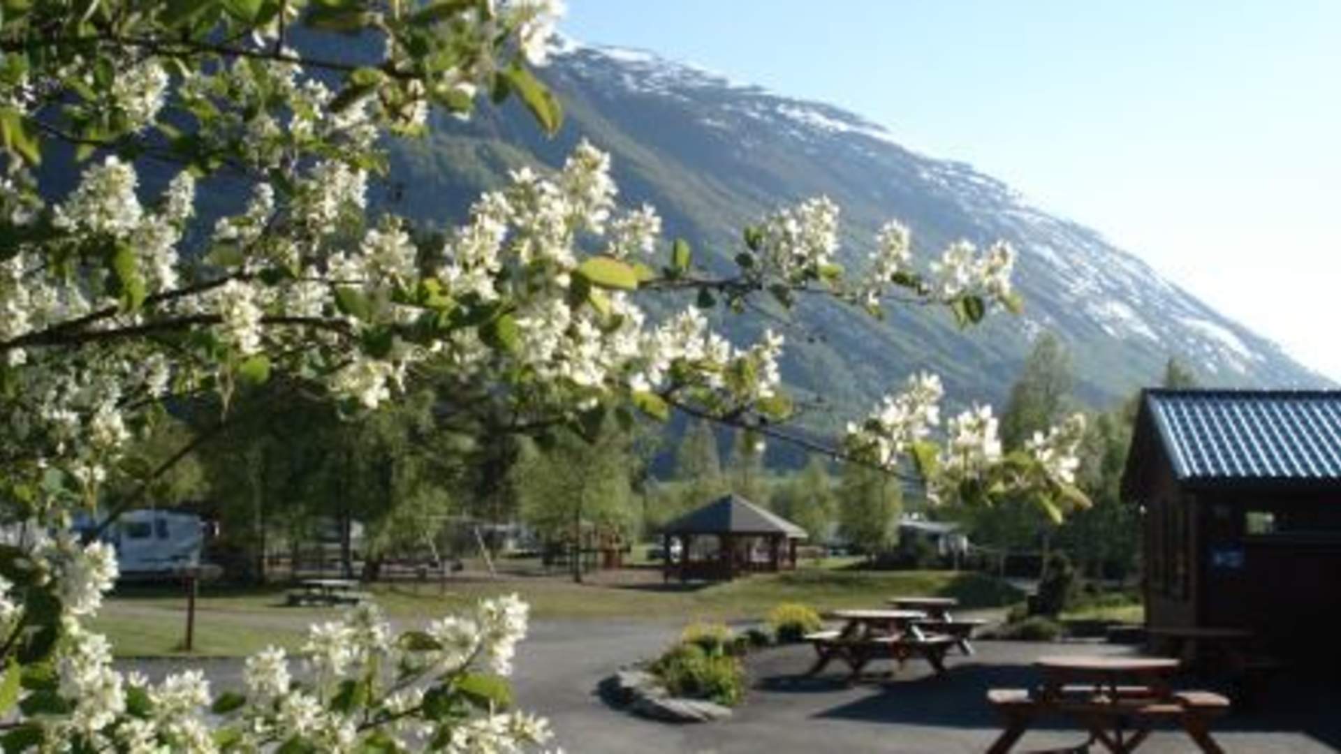 Byrkjelo Camping
