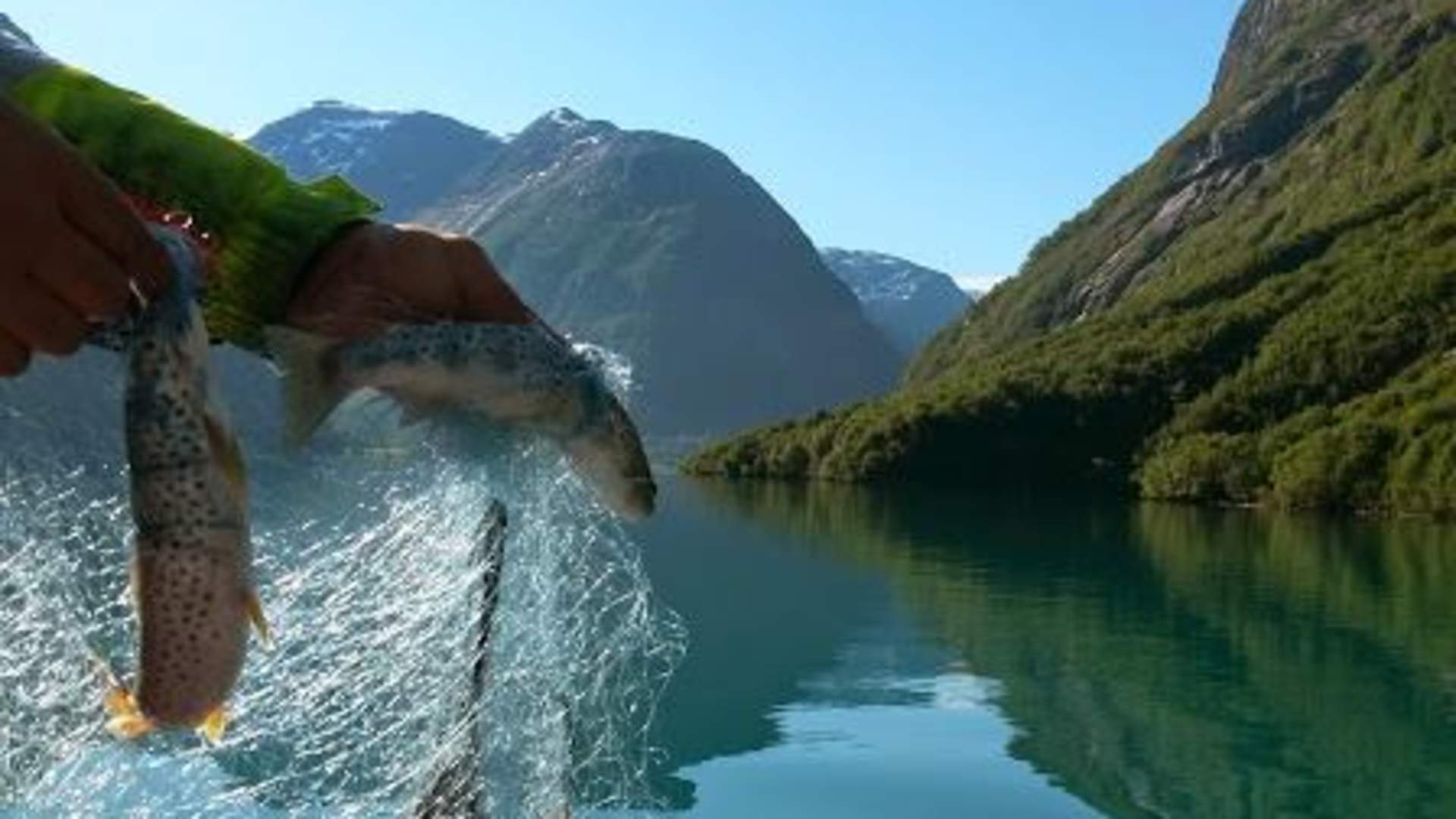 Guida Garnfiske | Kjenndalstova